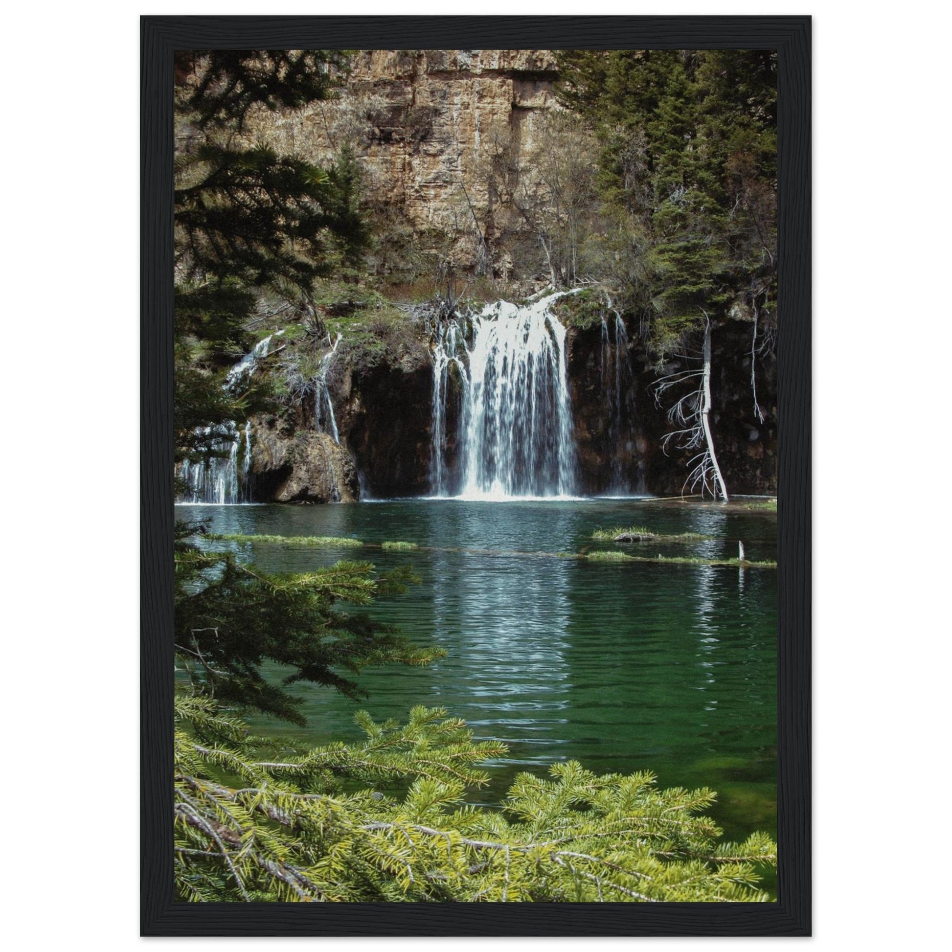 ca380b46-adac-4ec9-b794-f763fd2261cc