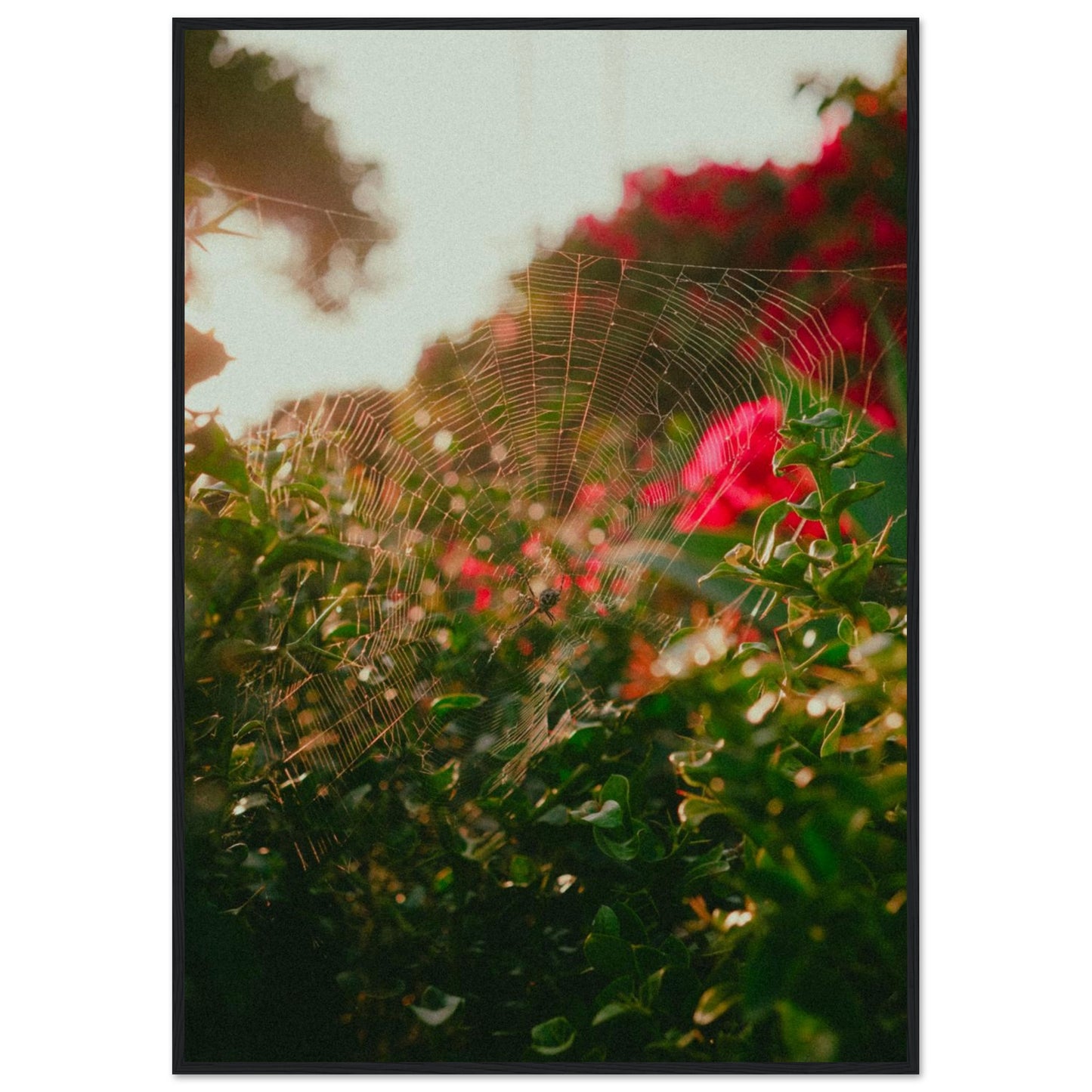 ca495758-1079-41be-bf98-56d201448d57