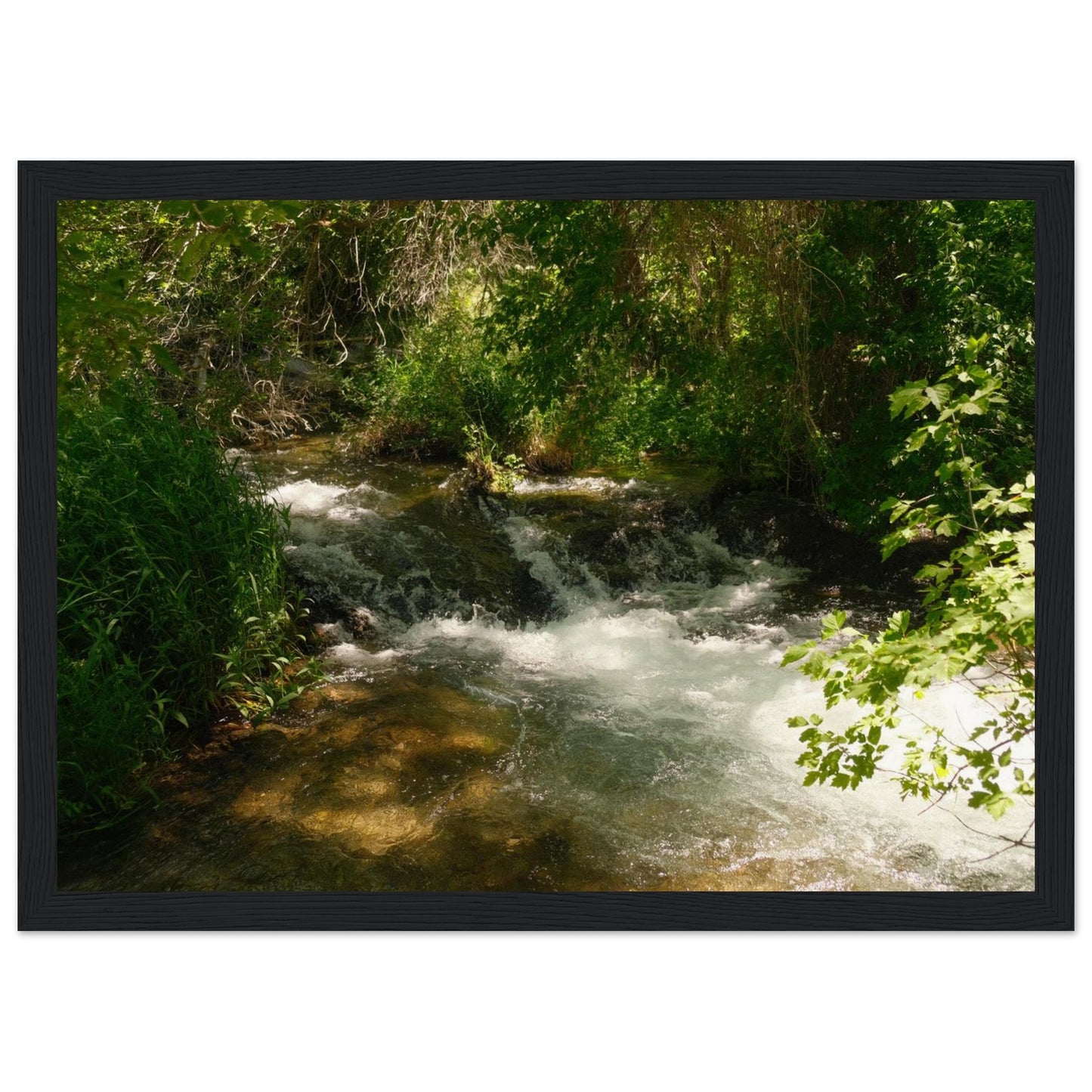 cbcca1c4-9ecd-4c70-9c56-535aa6e5e738