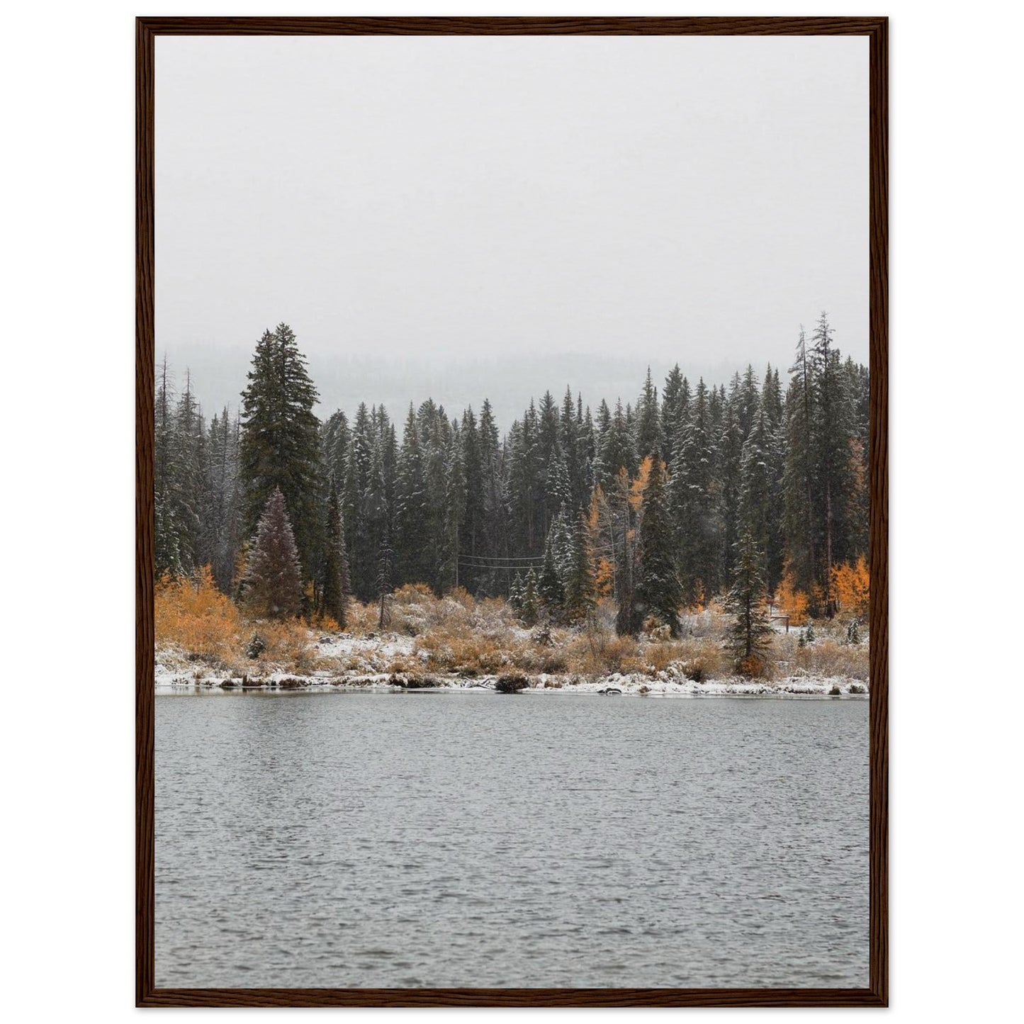 cbf1622e-efac-4b9d-a0ec-768f0d000ad9