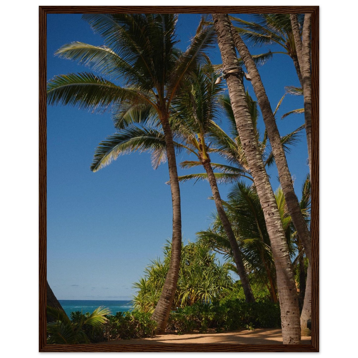 cc6e0f8e-494d-424f-9a68-85e0c5a83a5f