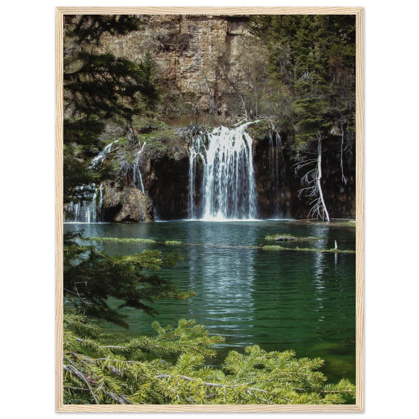 cc836ae6-a5c6-4858-948f-2120a99e51d9