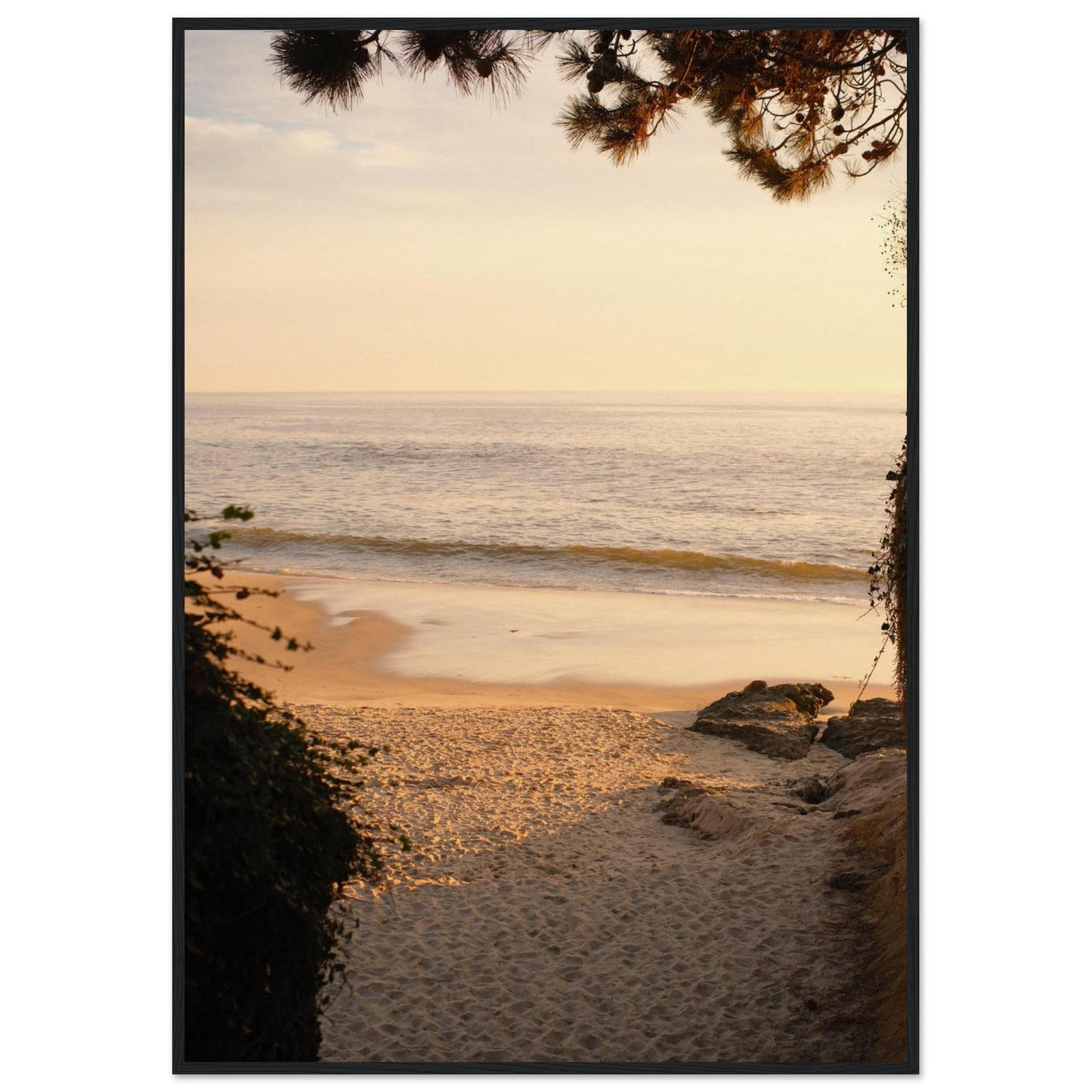 cce38ce9-1a92-4845-b9f9-d56af5001f57