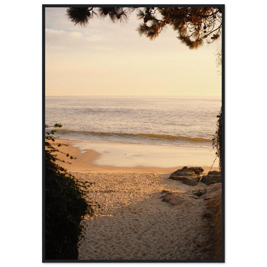 cce38ce9-1a92-4845-b9f9-d56af5001f57