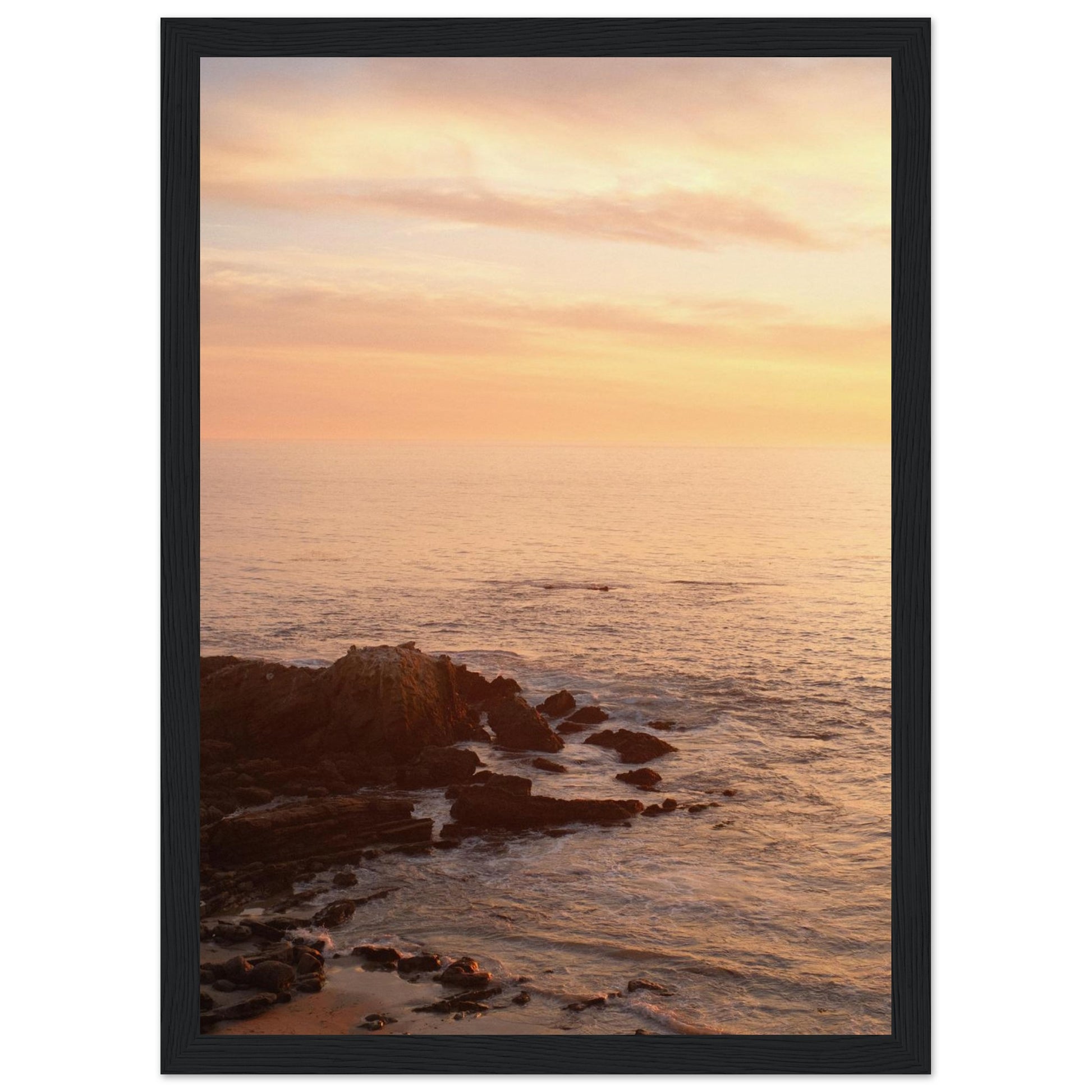 ce636119-bd79-461f-860b-019f07696fd1