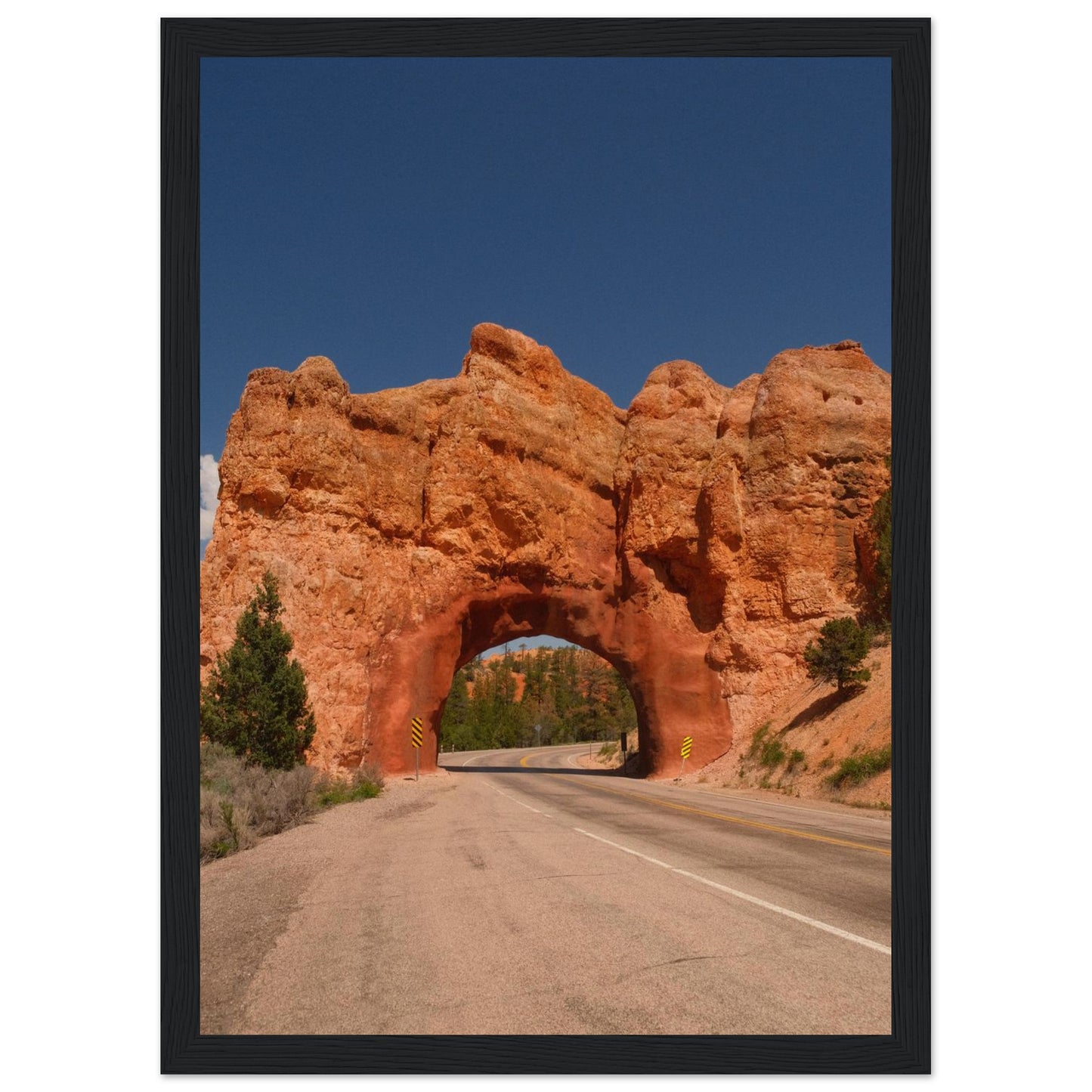 cf3c8bd7-3180-45b6-9315-3459cdb92776