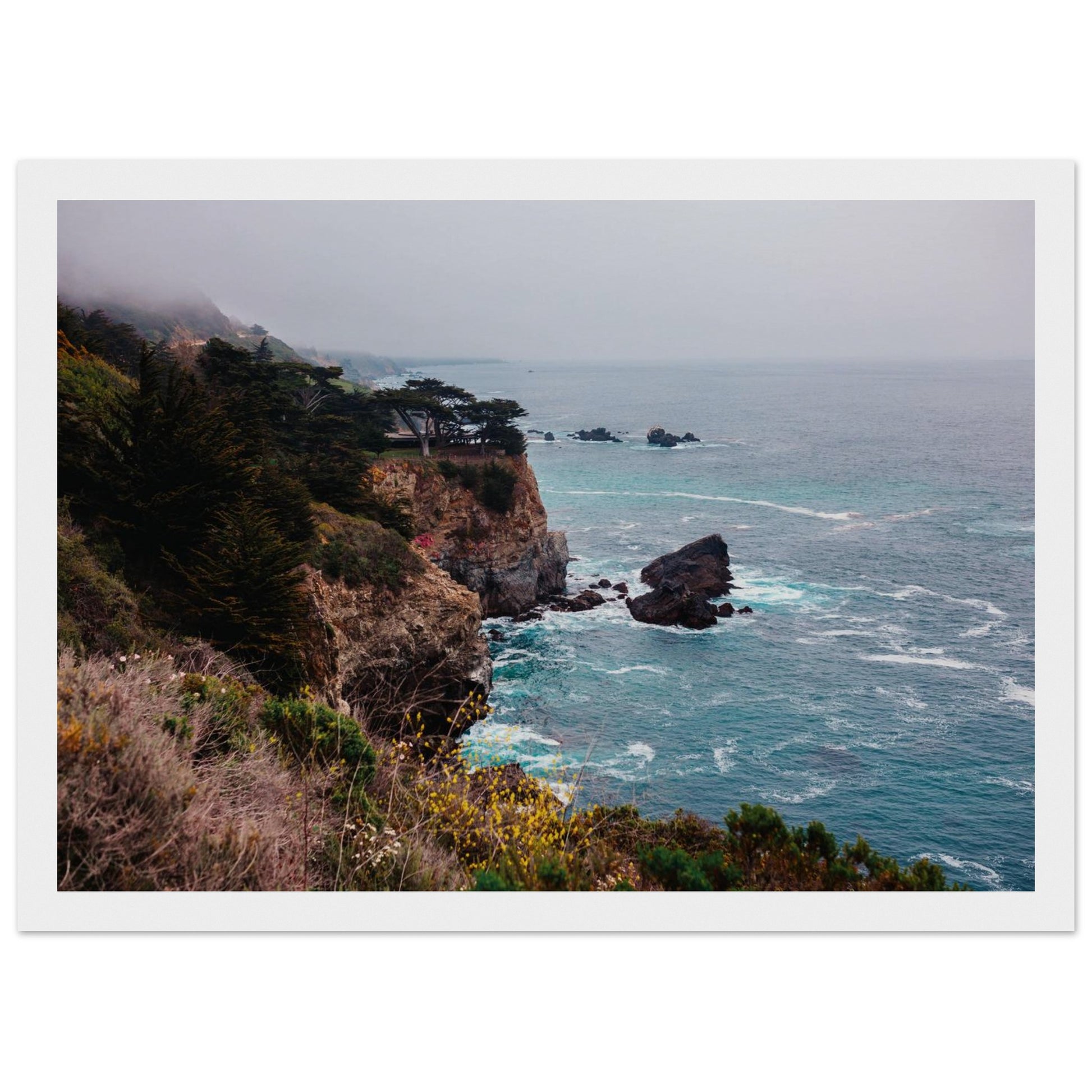 cf4da835-f408-4cd6-8d6e-43c104f4866b