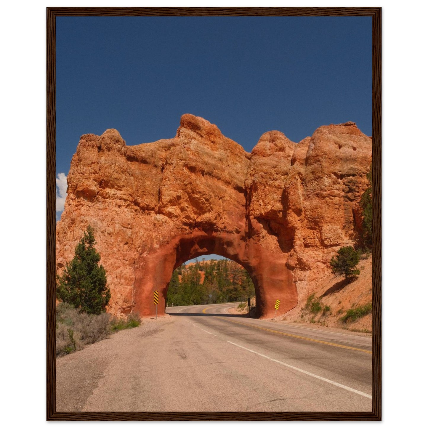 d0199cd3-bd7a-46b9-b1d3-4f77bf4b1ae4