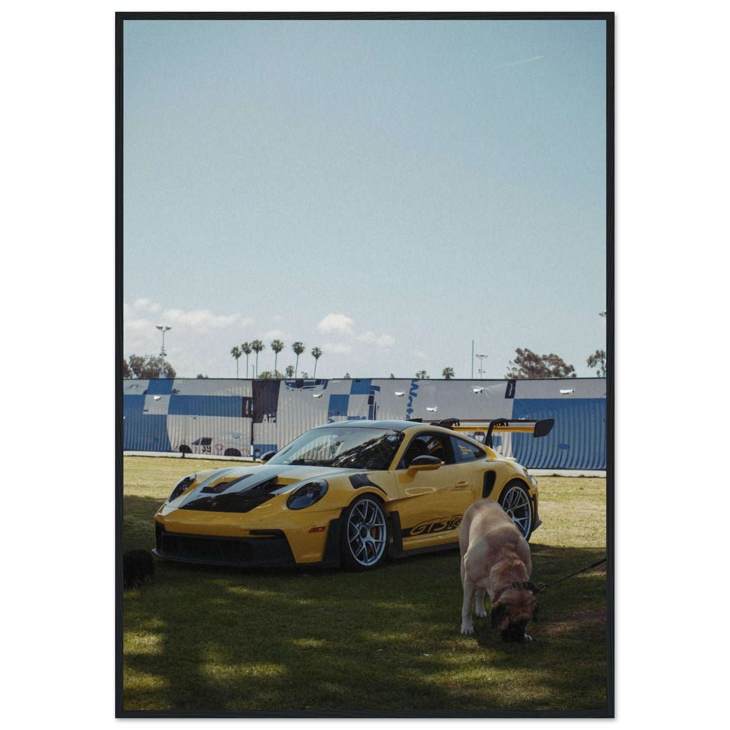 d11867b1-e744-493a-a372-4d7aed924517