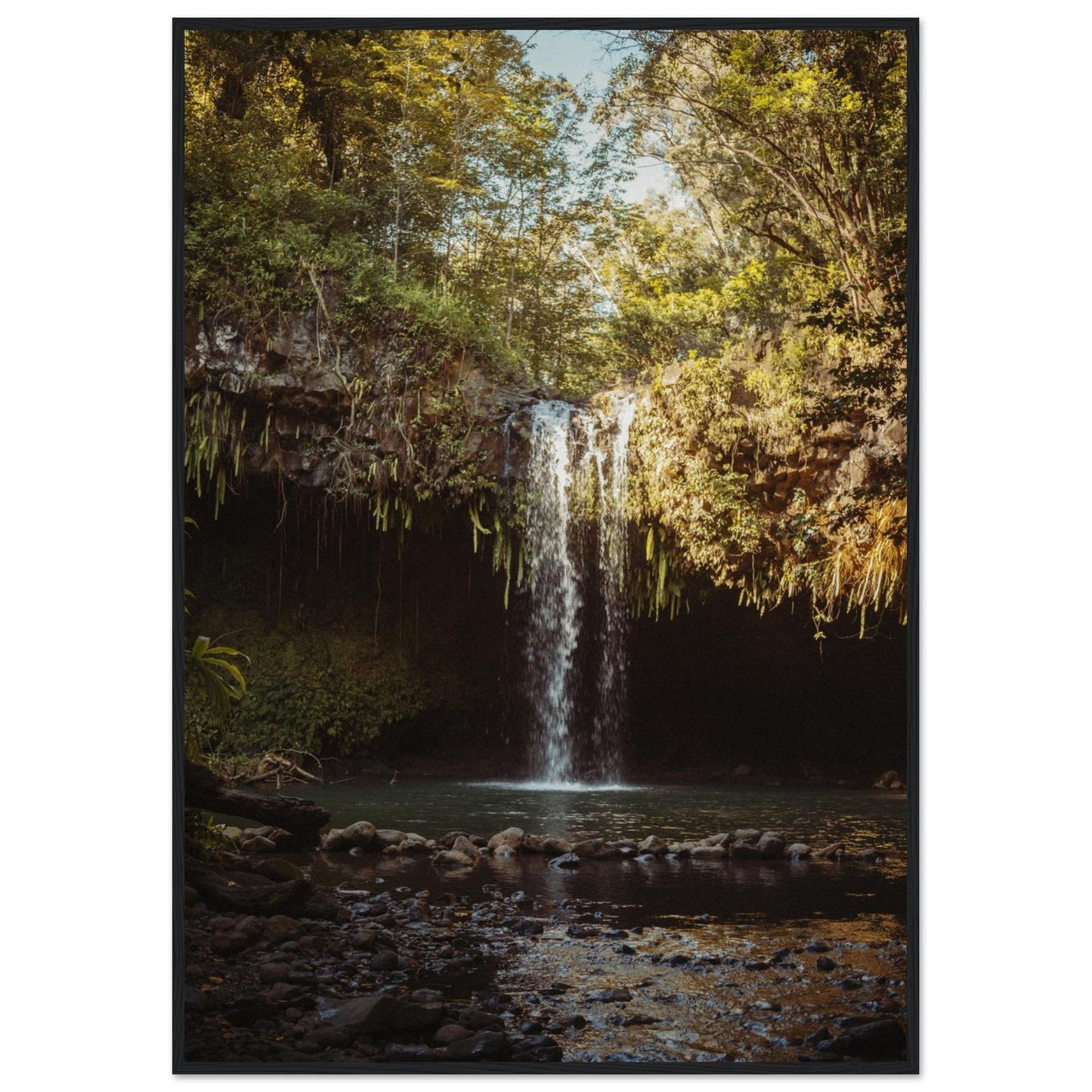 d1b2590a-af5d-426d-a054-5094229a0493