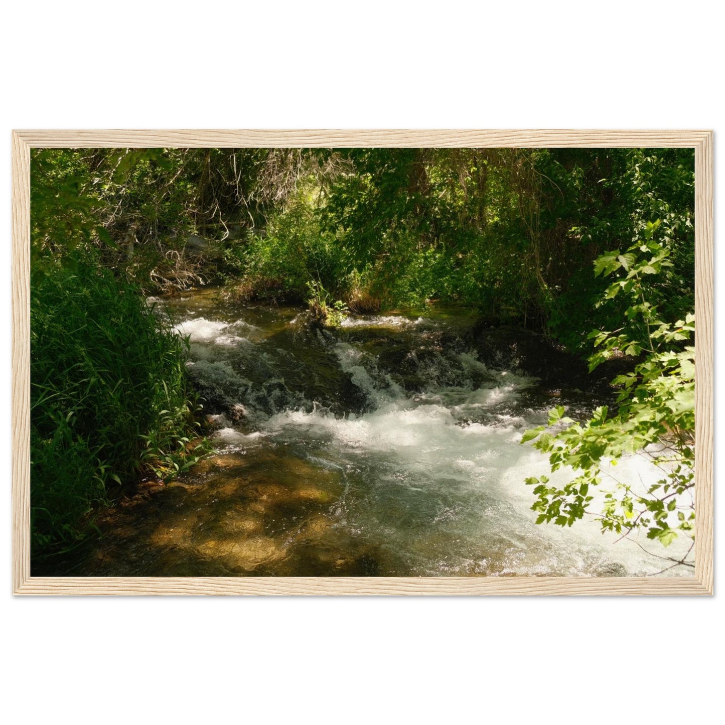 d2a3dec0-d066-47df-8579-af4bf0415c84