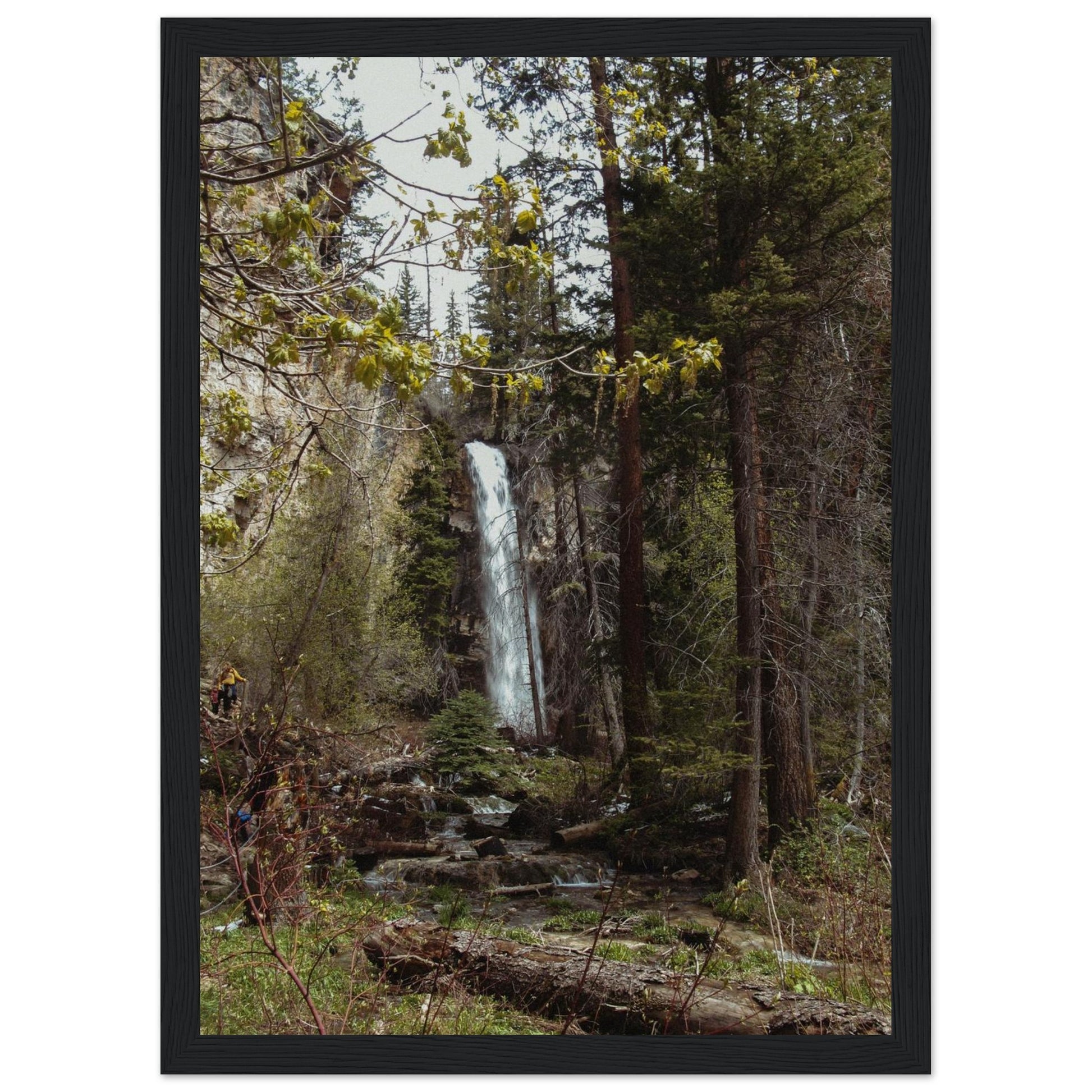 d34a9771-1e11-4202-ba02-b76fa336839d