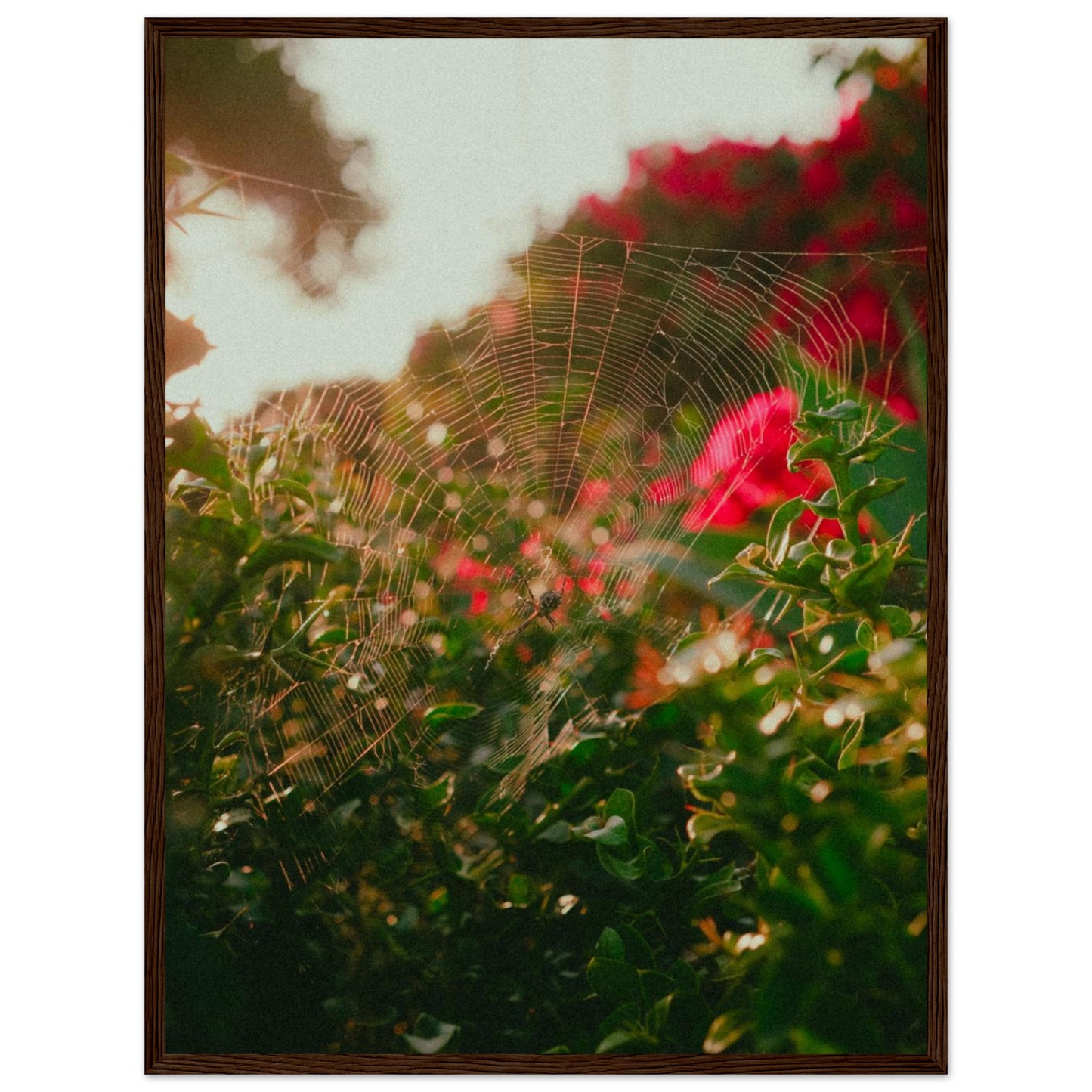 d522d52f-2b43-4cb8-af65-d3b8af8c43e0