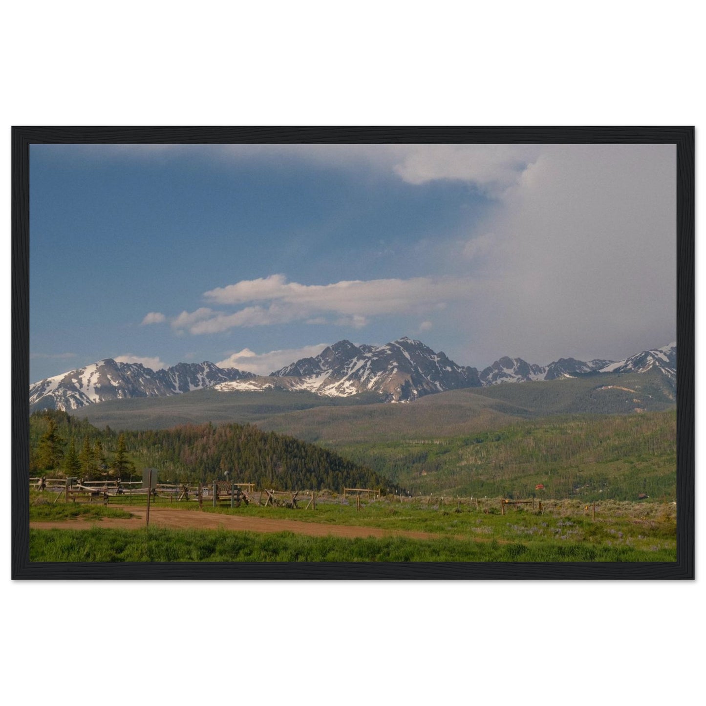 d596a17c-4e01-46f5-915c-745061485955