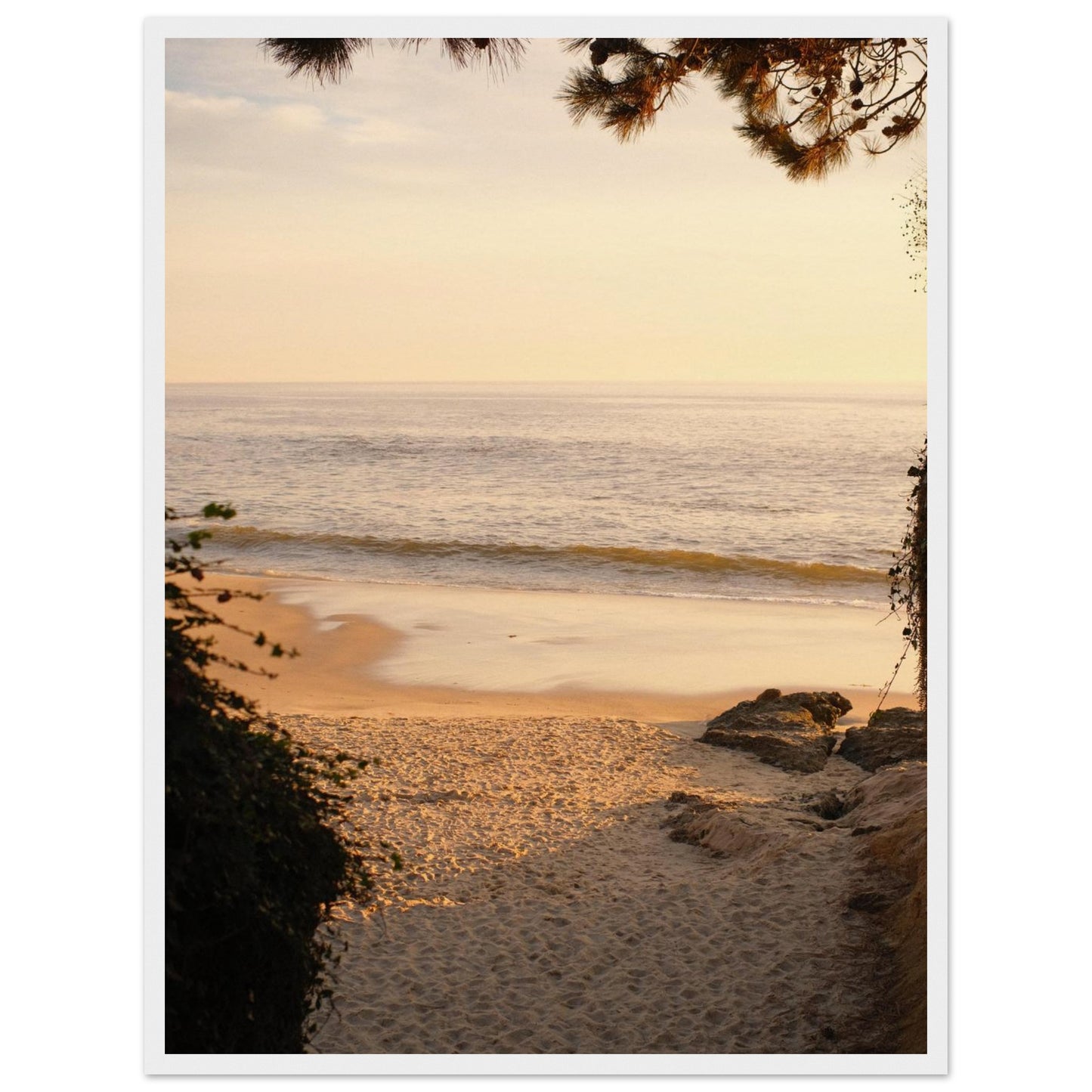 d666fd3f-37b6-4580-89b3-aea15d225b82