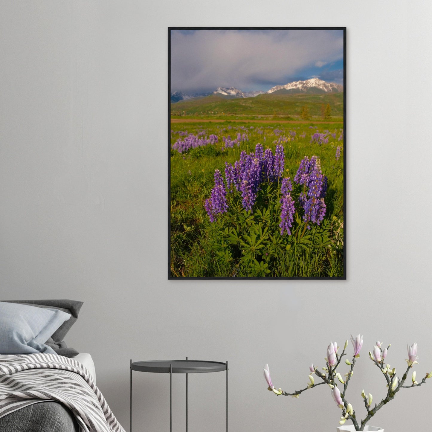 d676d4a7-9bc0-4d0e-ad60-b792f3819c09