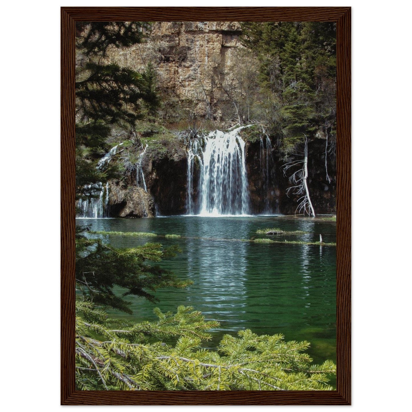 d6f0e4da-f5cf-40c6-9531-8240f334bac9