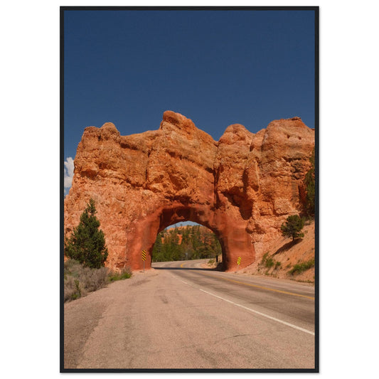 d720861e-00ec-4506-bacf-5533ee8ed034