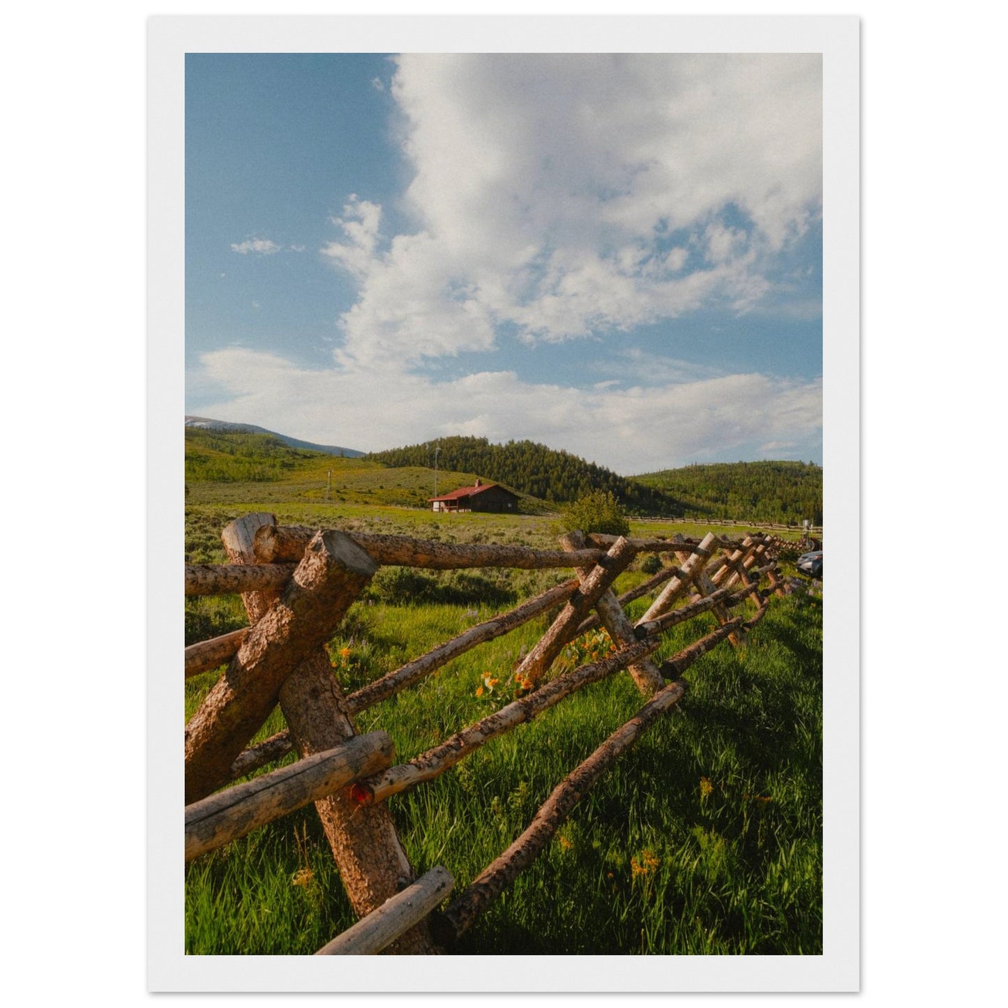 d8caf34d-2940-46f1-b67c-69e8b745a0f4