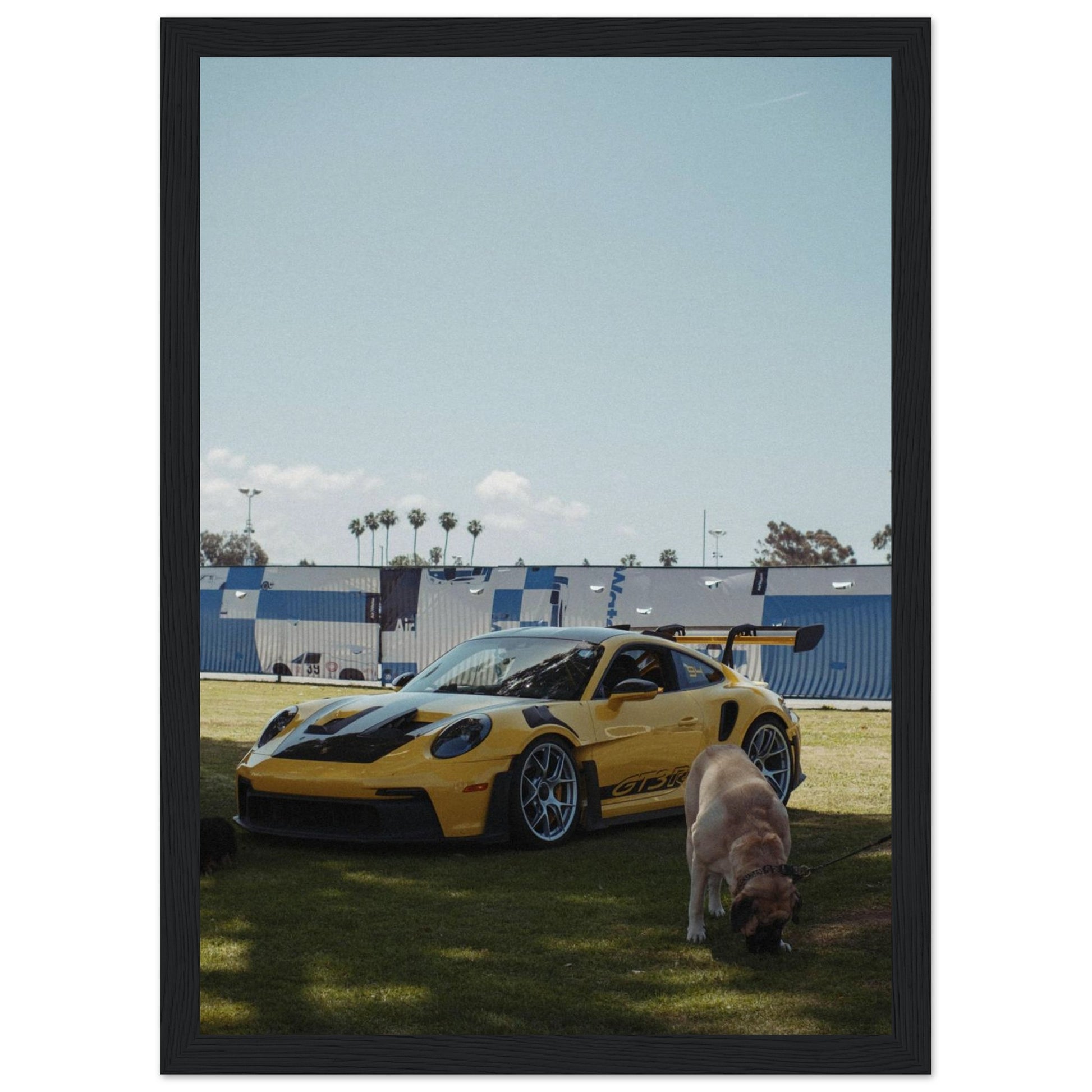 dcfd5513-9dce-42be-a2cf-1103ed17b9f6