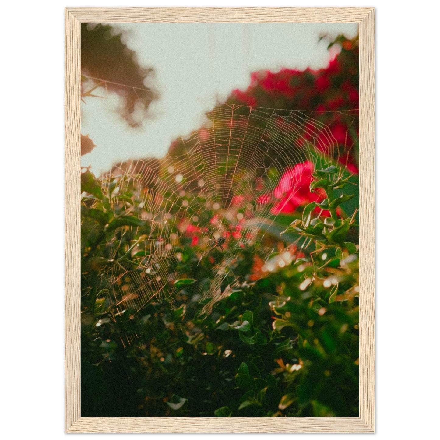 dd82d65f-3009-4c06-8fec-2cd725ccd1b8