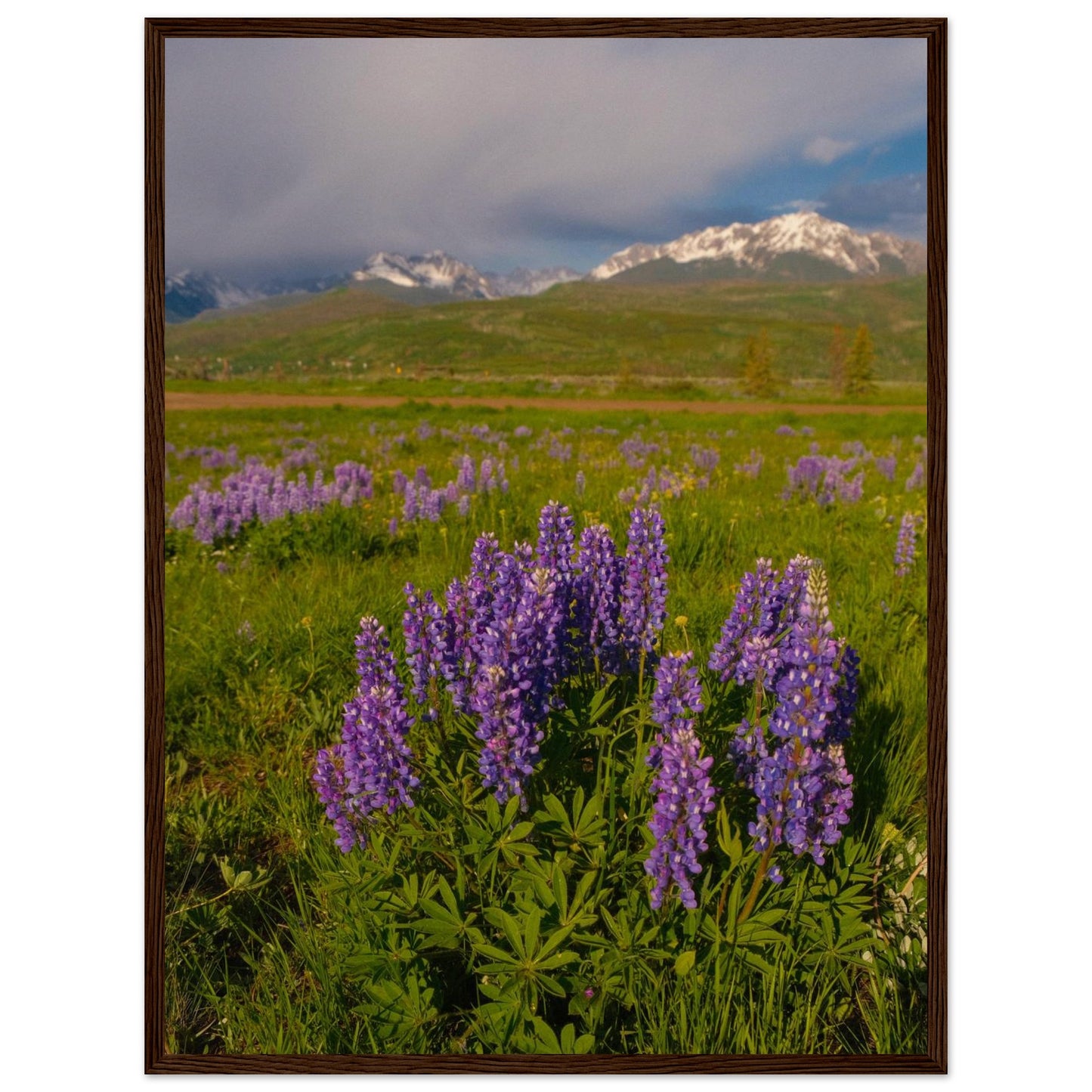 dfc45158-c047-408b-84e4-ca9e39aa9711