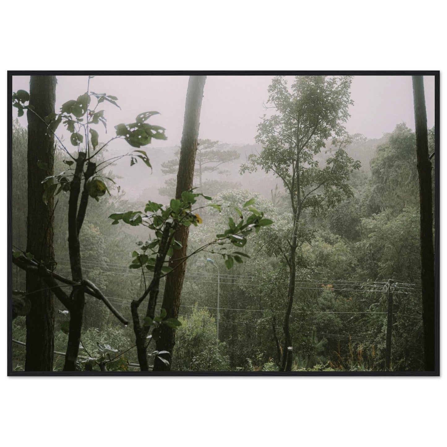 e292ee88-020b-4779-b6e6-c2cc2a584e4a