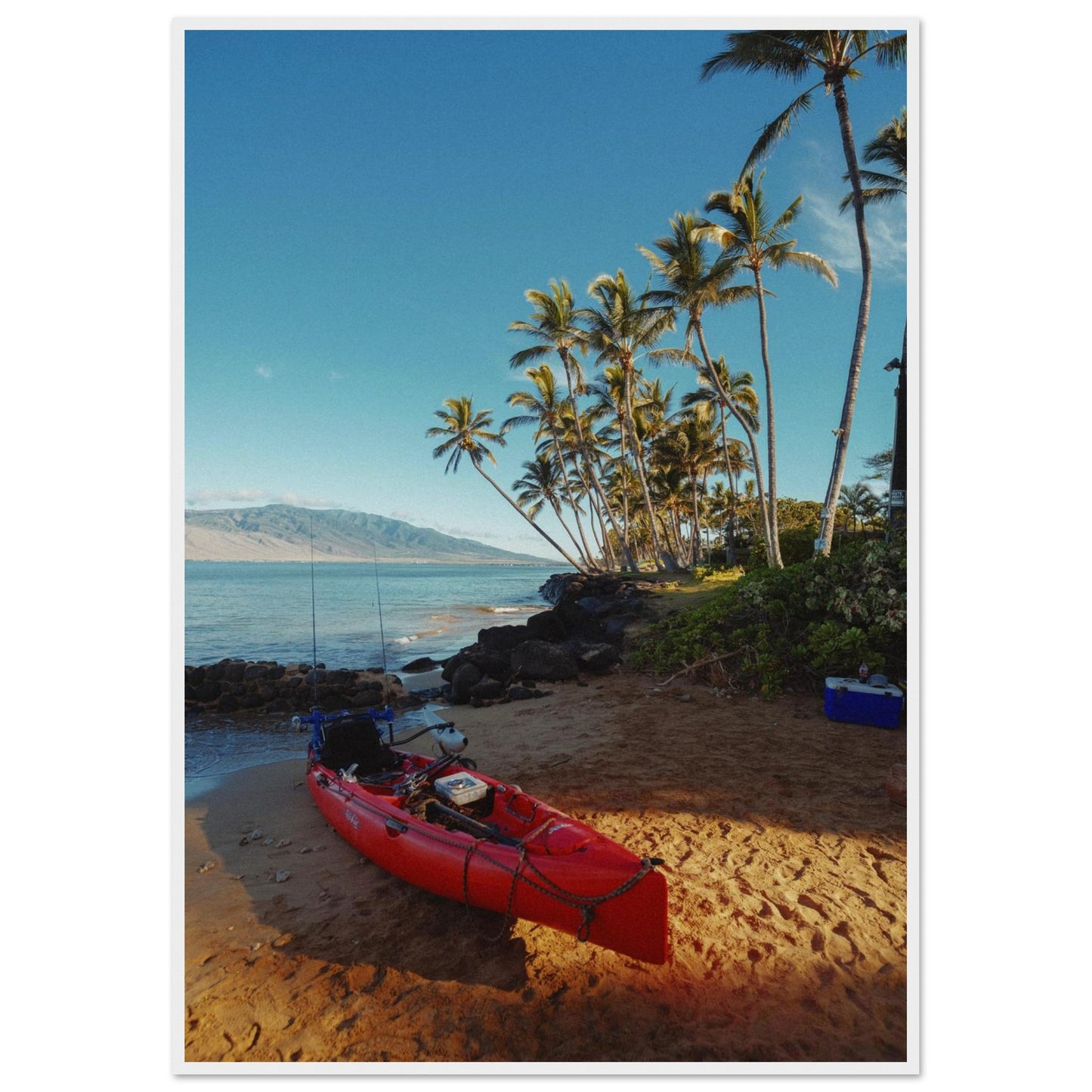 e41eae9b-33f5-418c-9e52-2069377205ff