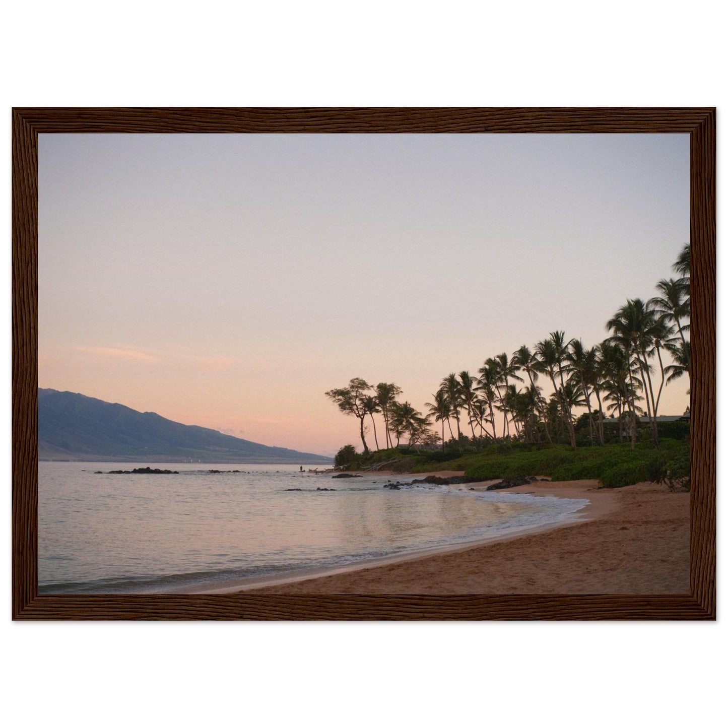 e4dfada9-1e35-44cf-b18a-03315423ae77