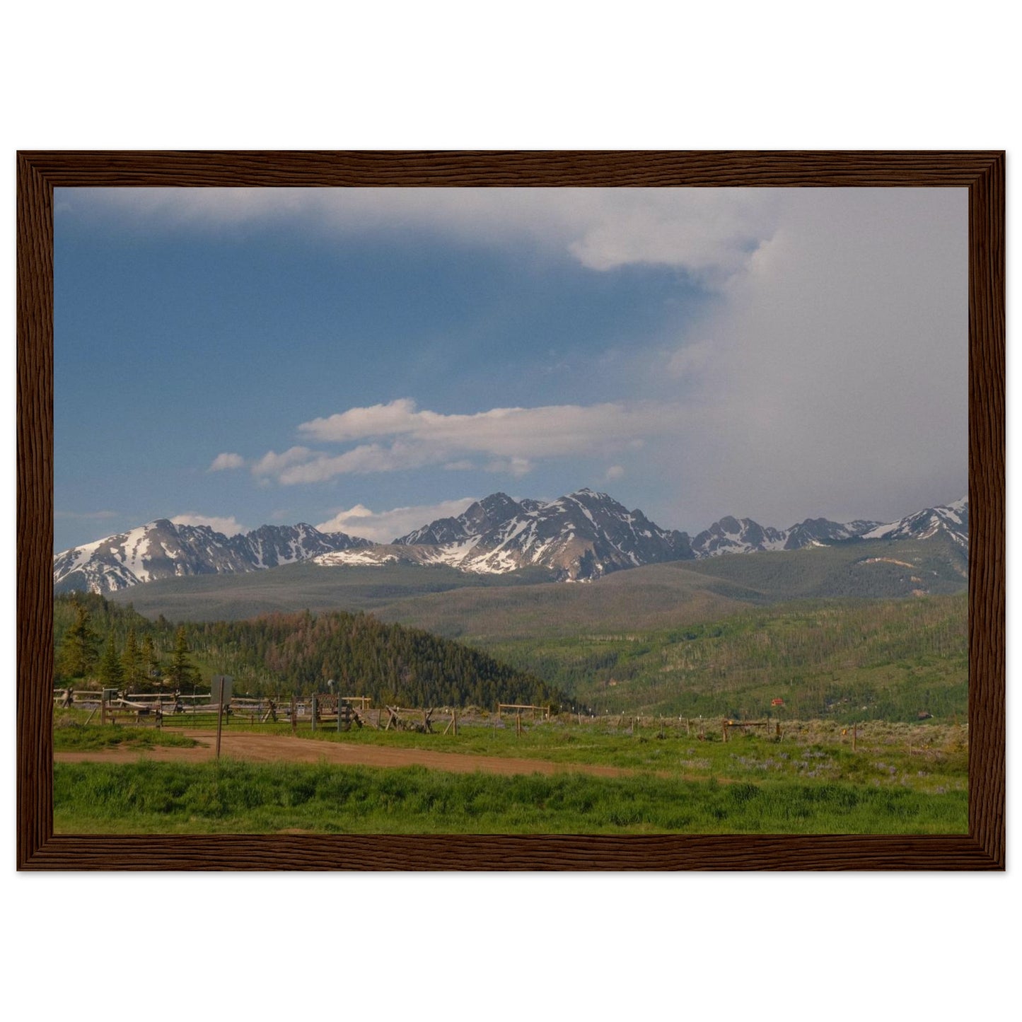 e5a44c51-0a26-4575-b59f-b789297a1107