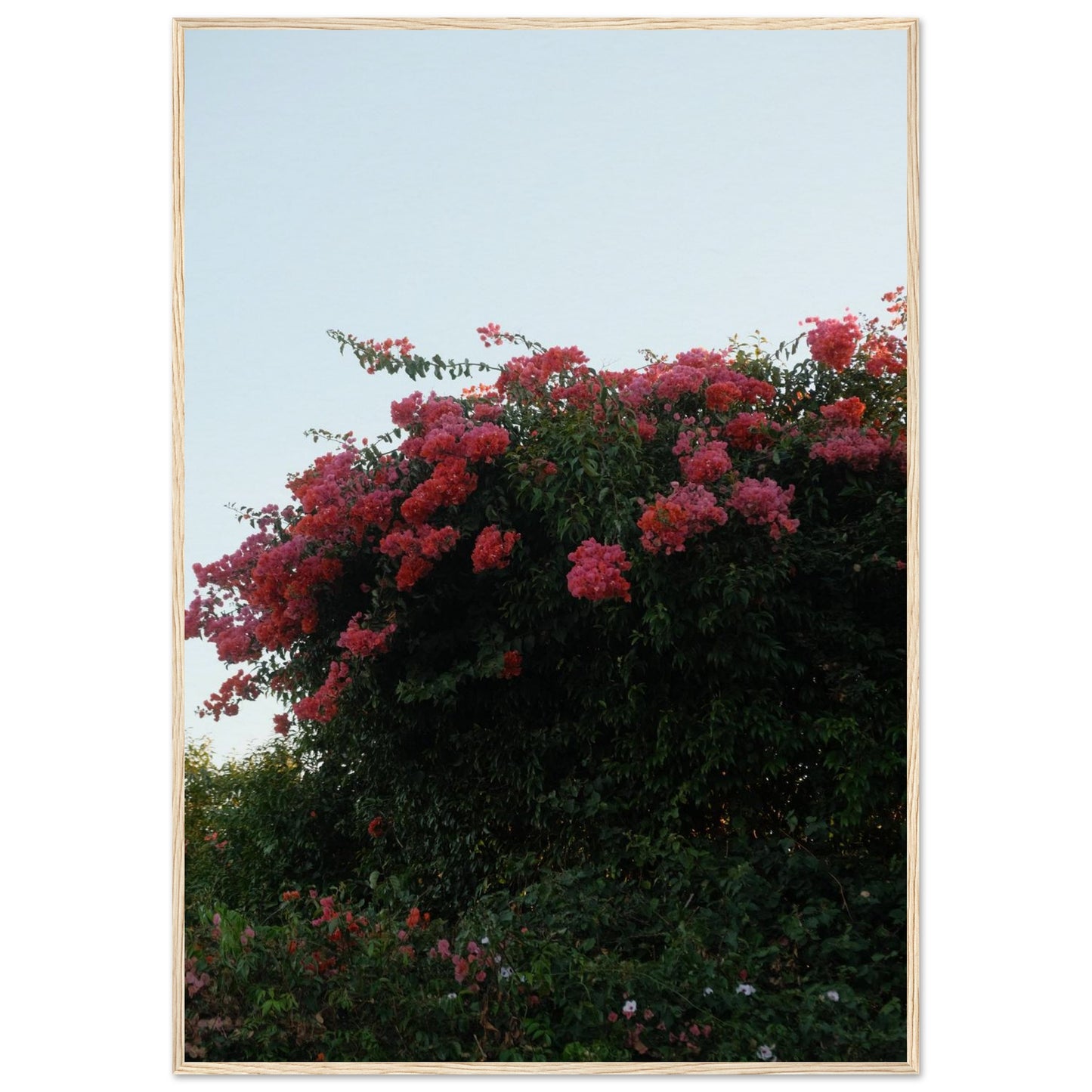 e6b2753e-ba49-4200-811c-146a2b679e4d