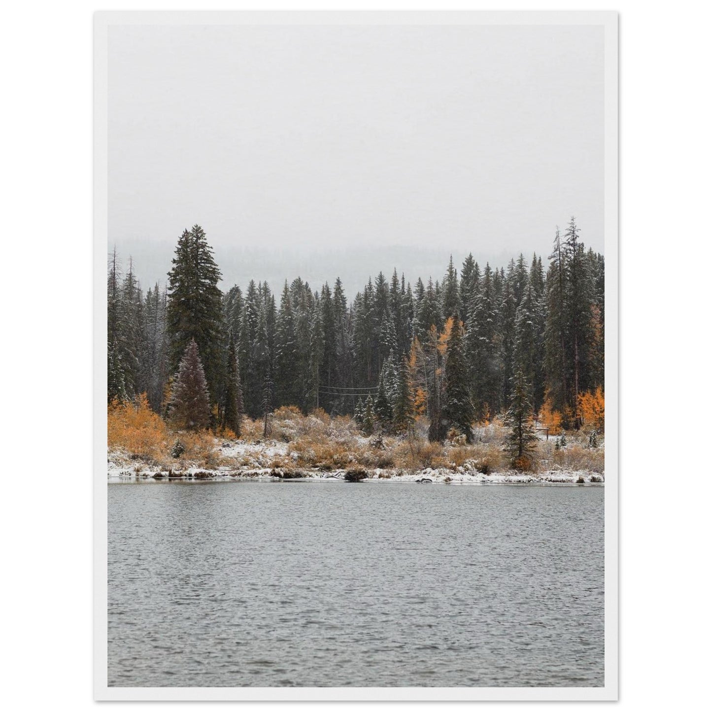 e8e7bf94-25c5-43c8-8b16-17c02bd22e4e