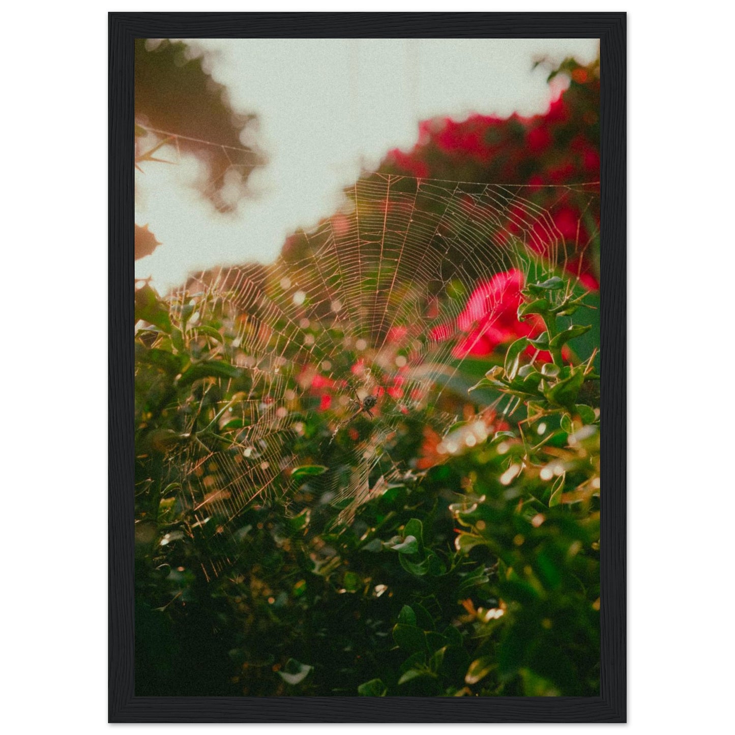 e930eee3-64c8-4802-825b-0767bf74b614