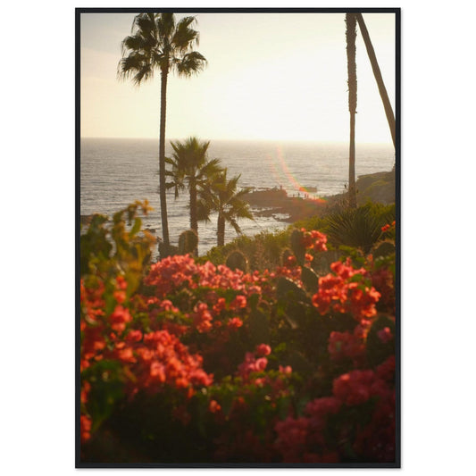 ea2dae2c-6e4c-4e36-a27e-d5c1f8943353