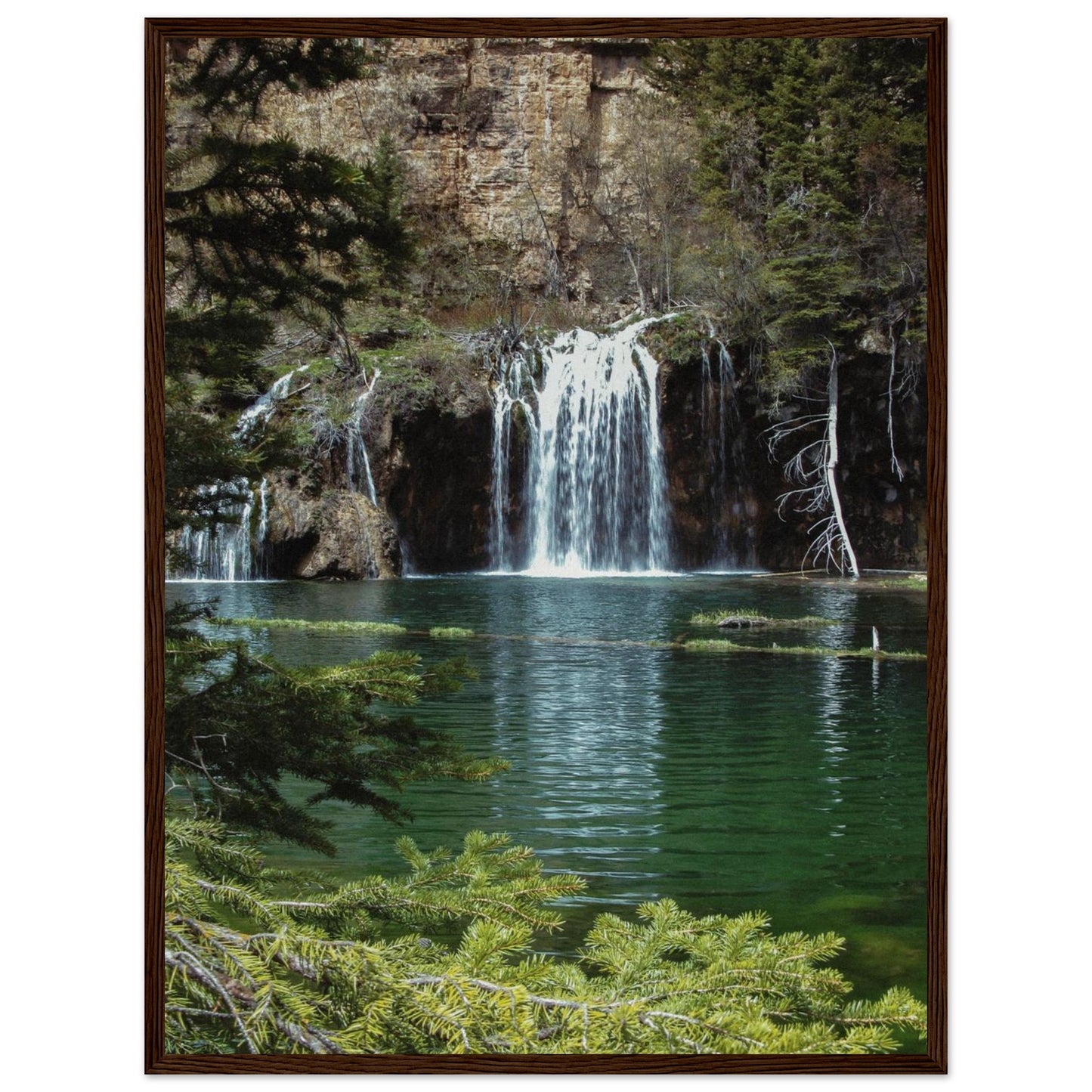 ea383a8d-3694-4224-a791-6369d281632d