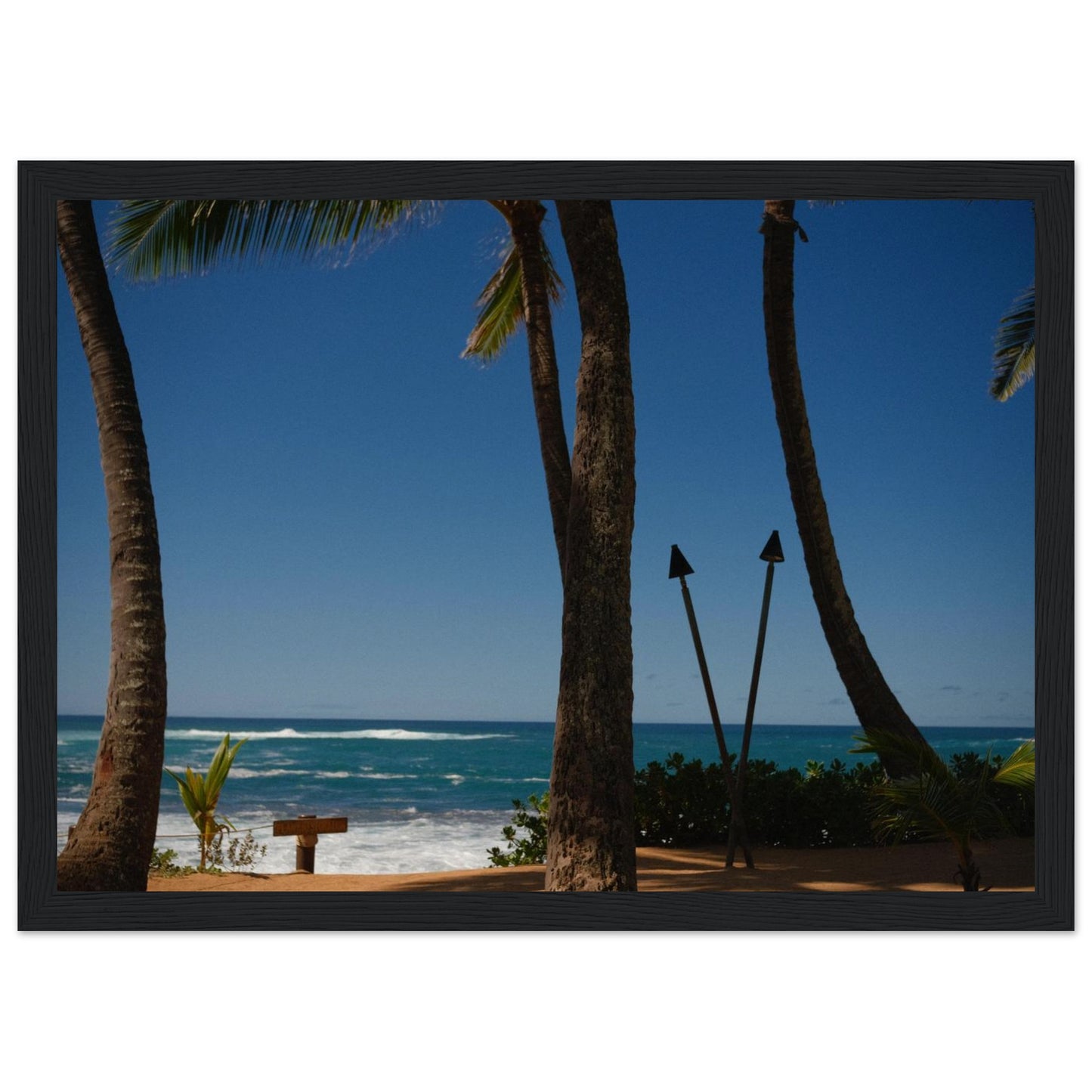 ea80f121-57ea-456e-8940-d414c7fb9ced