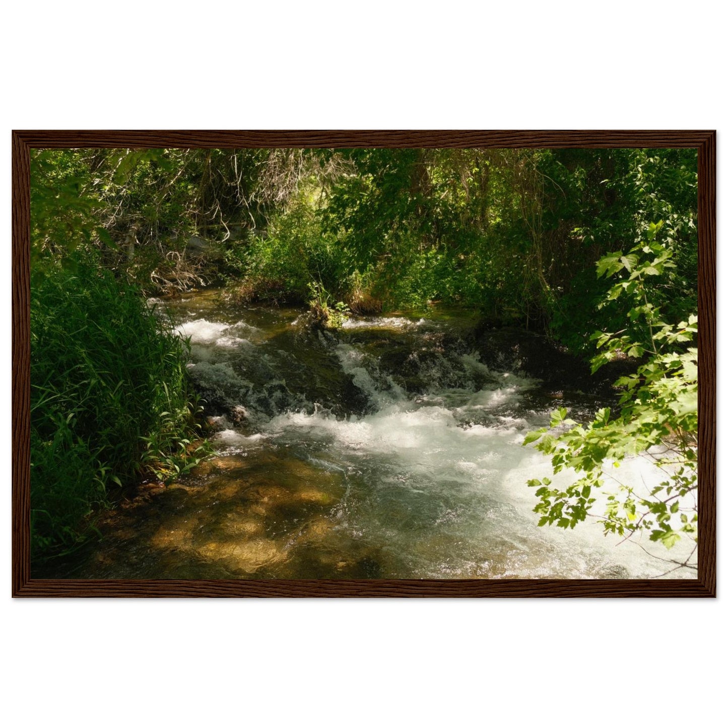 ed49cf4a-35af-4157-9157-c45976e5a36b