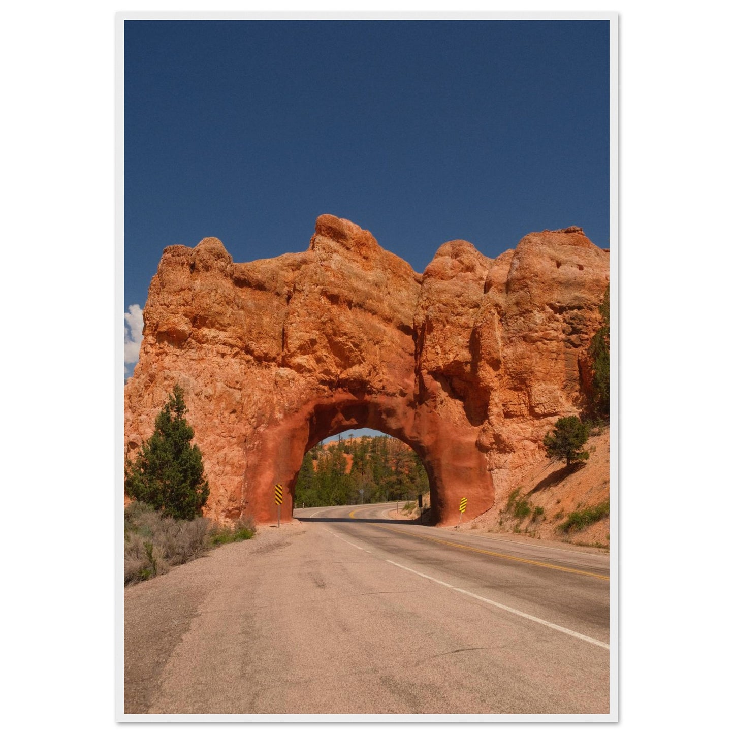 ee42c117-31d1-40ca-9409-d062737316c4