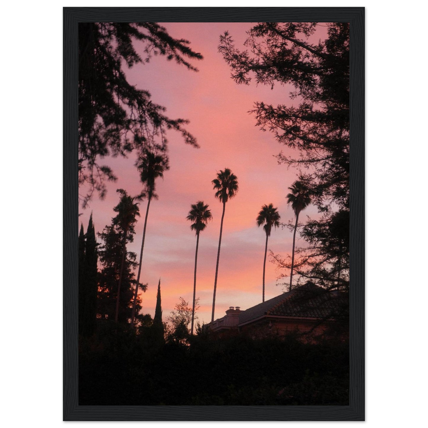 ee8ec9f0-9a71-49ee-b9f2-44bb7ad66fea