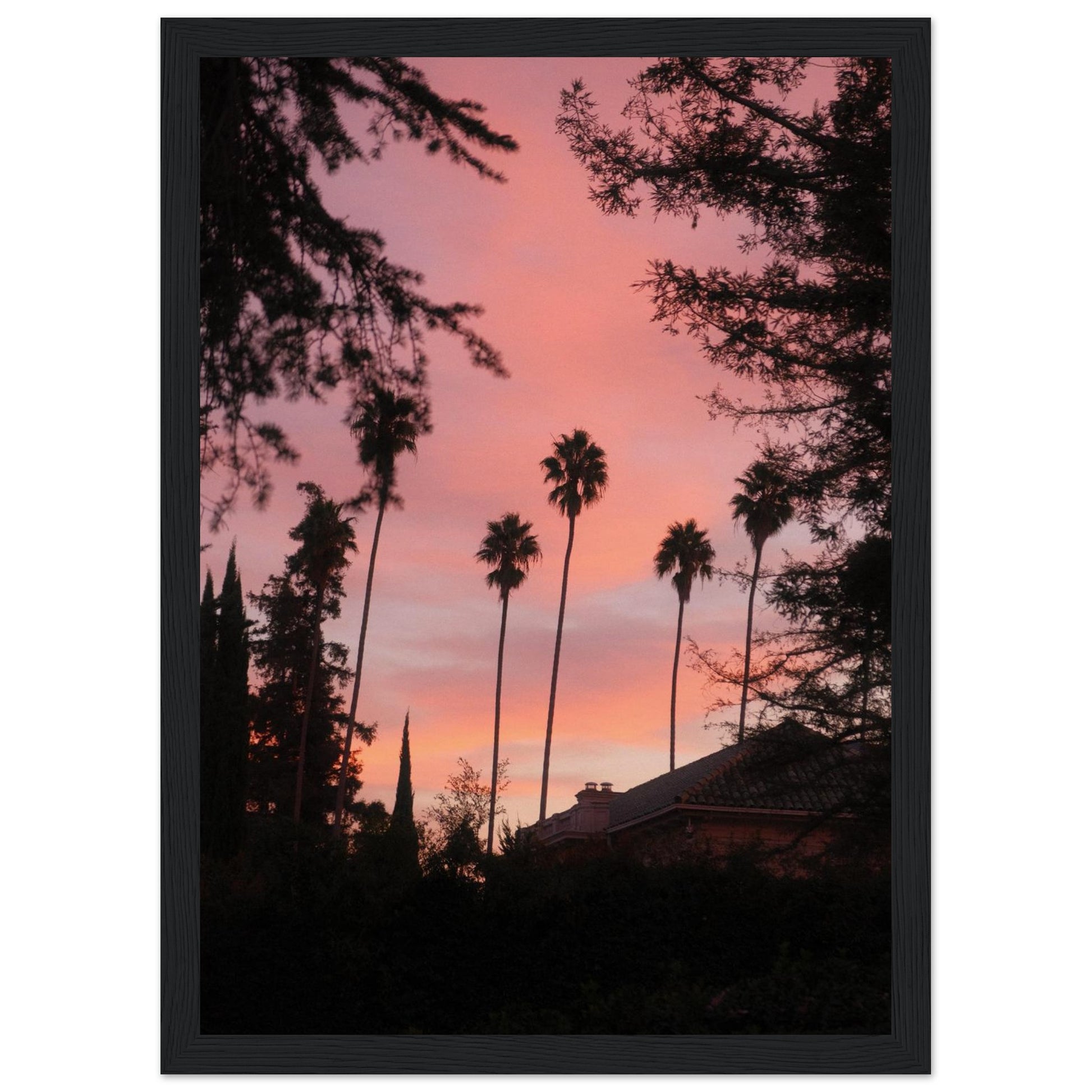 ee8ec9f0-9a71-49ee-b9f2-44bb7ad66fea