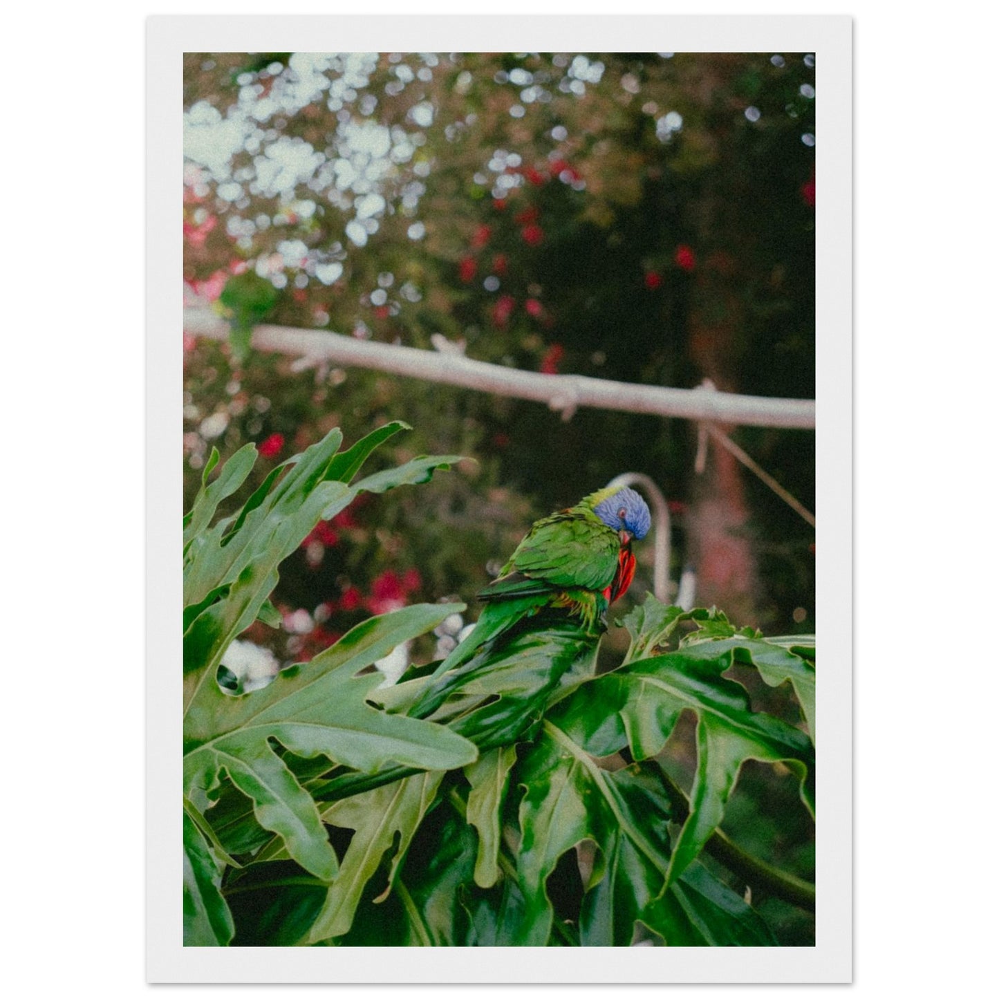 eec1f5f5-f3c0-4a73-af1d-e77393b8824a