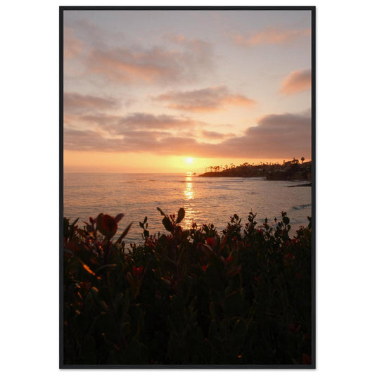 ef5b1f2a-676a-4448-83e8-8b52edbd1a5d