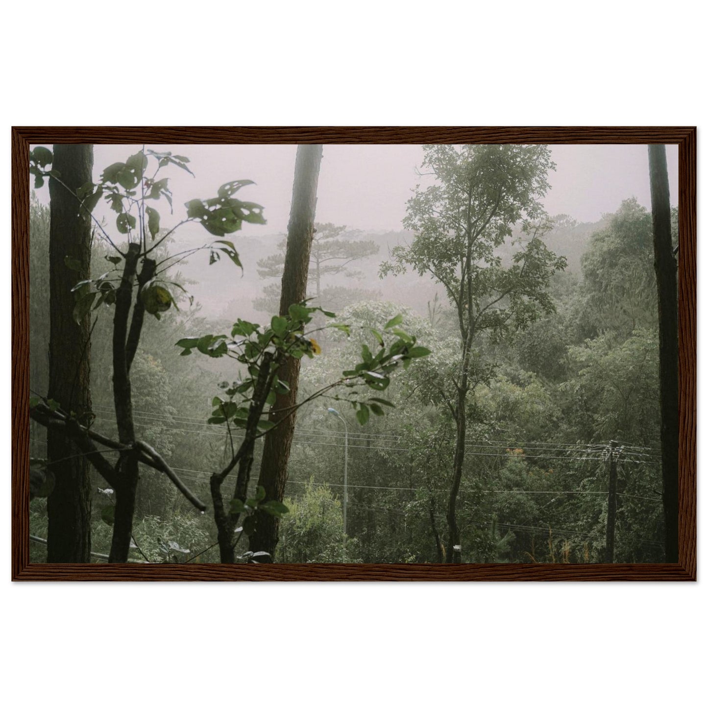 f3393460-542c-43d6-b4f8-a72804bb878a