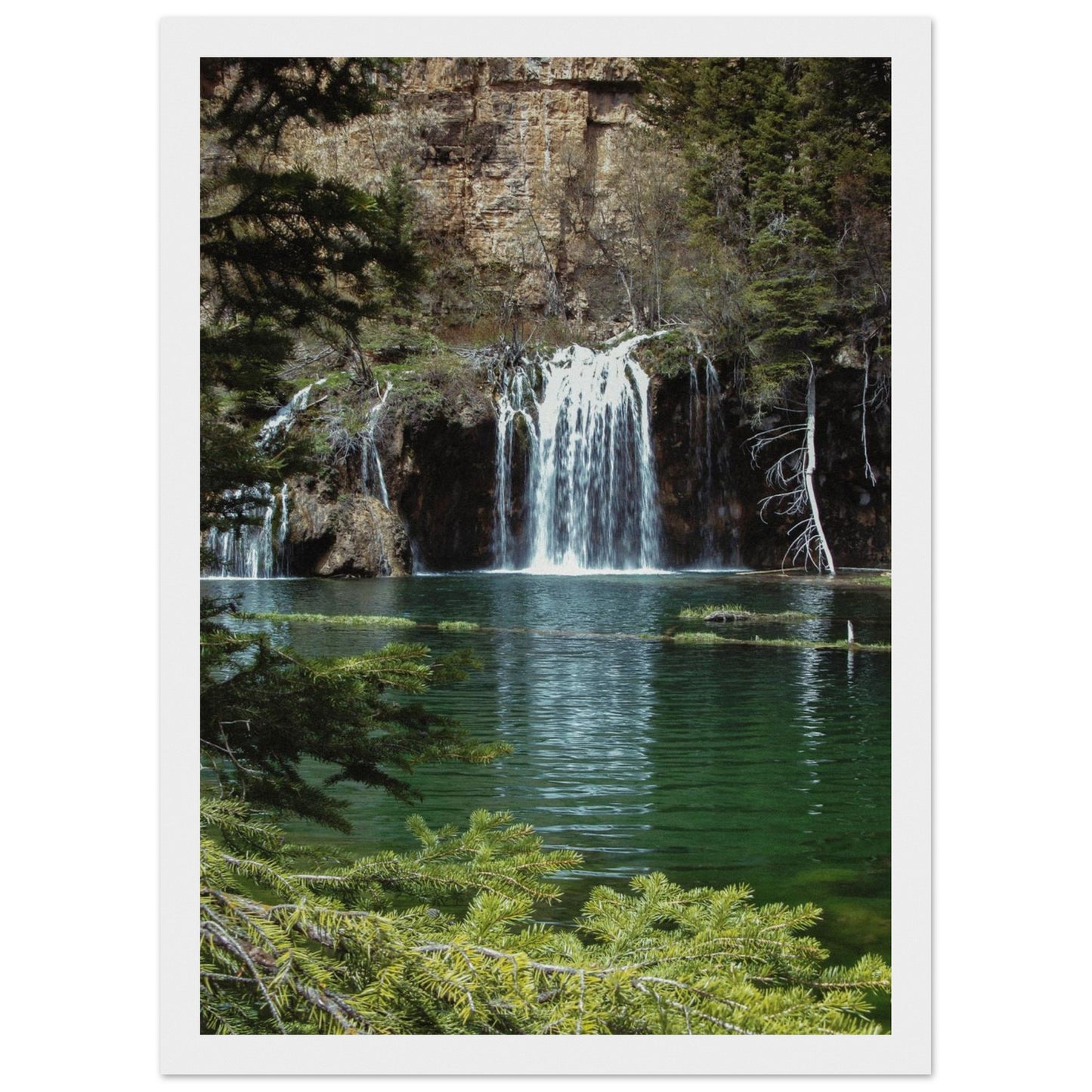 f34b2b6b-3947-46c5-8895-3d554ba64d21