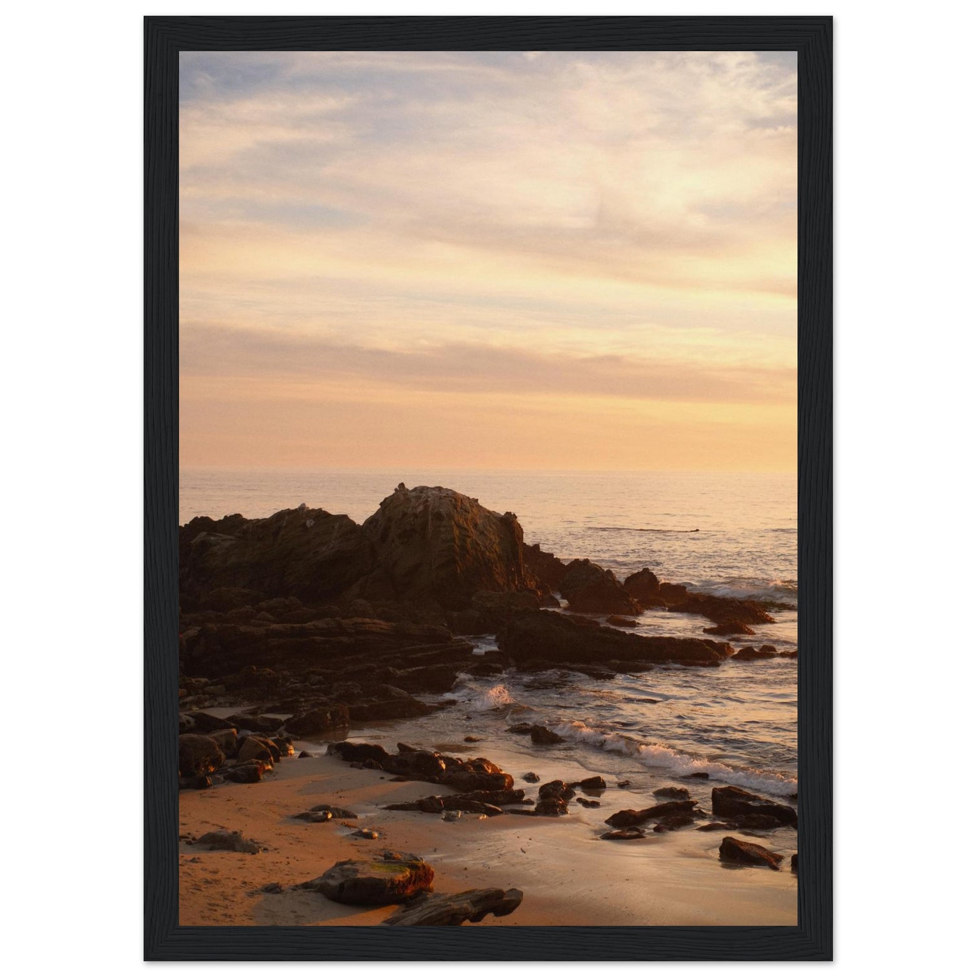 f41a8590-4295-4c72-bc7f-b0ad05b451ce