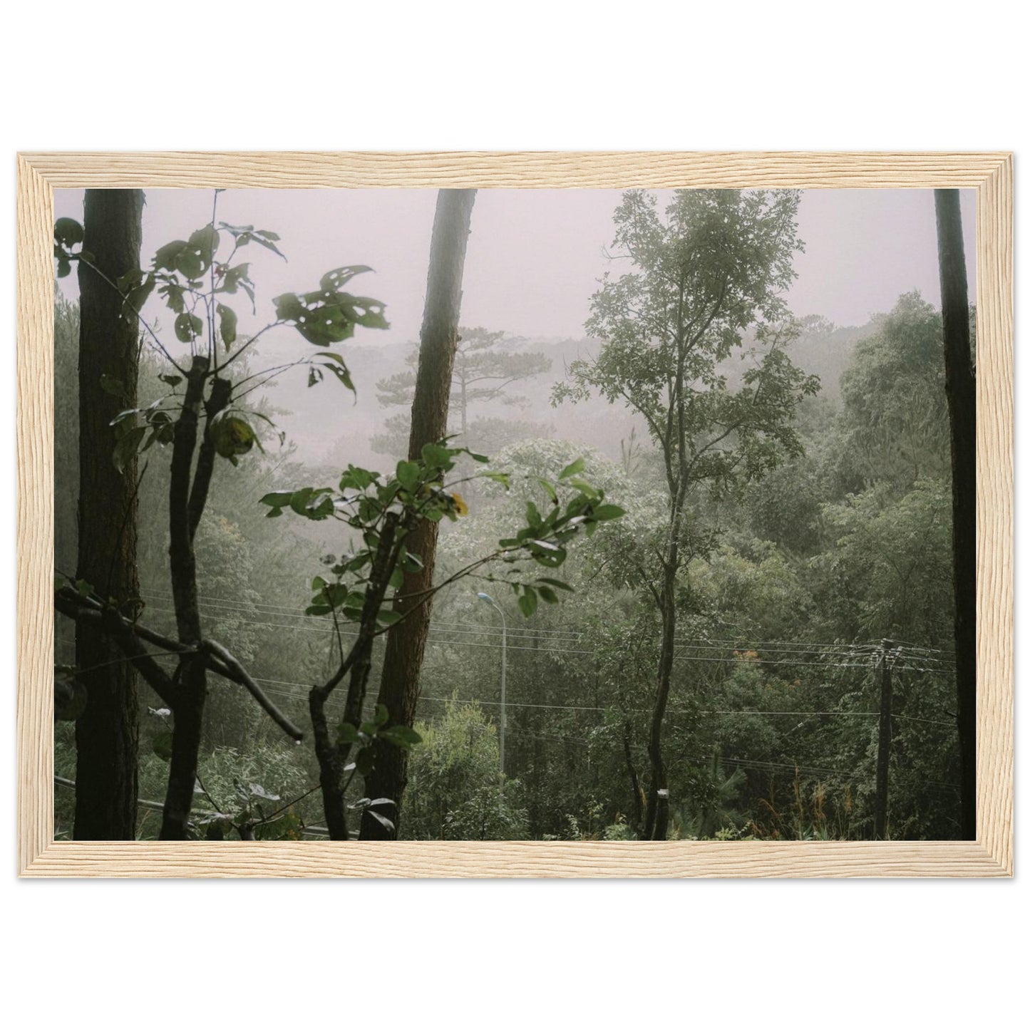 f891393b-8797-4340-8063-fe4d2e3e9320