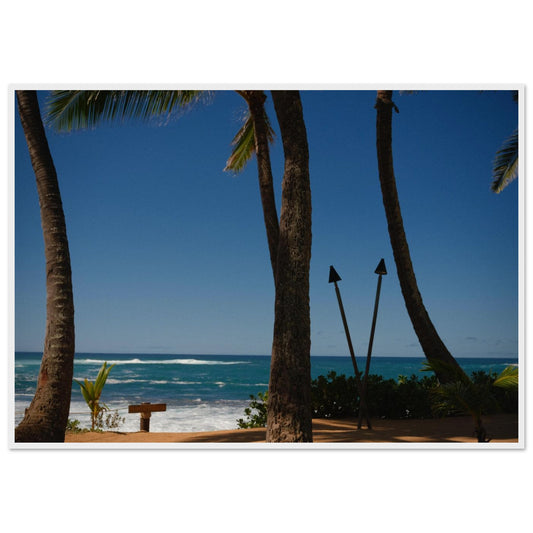 fa317f59-58c5-4d0f-aca9-63ed550d6d2c