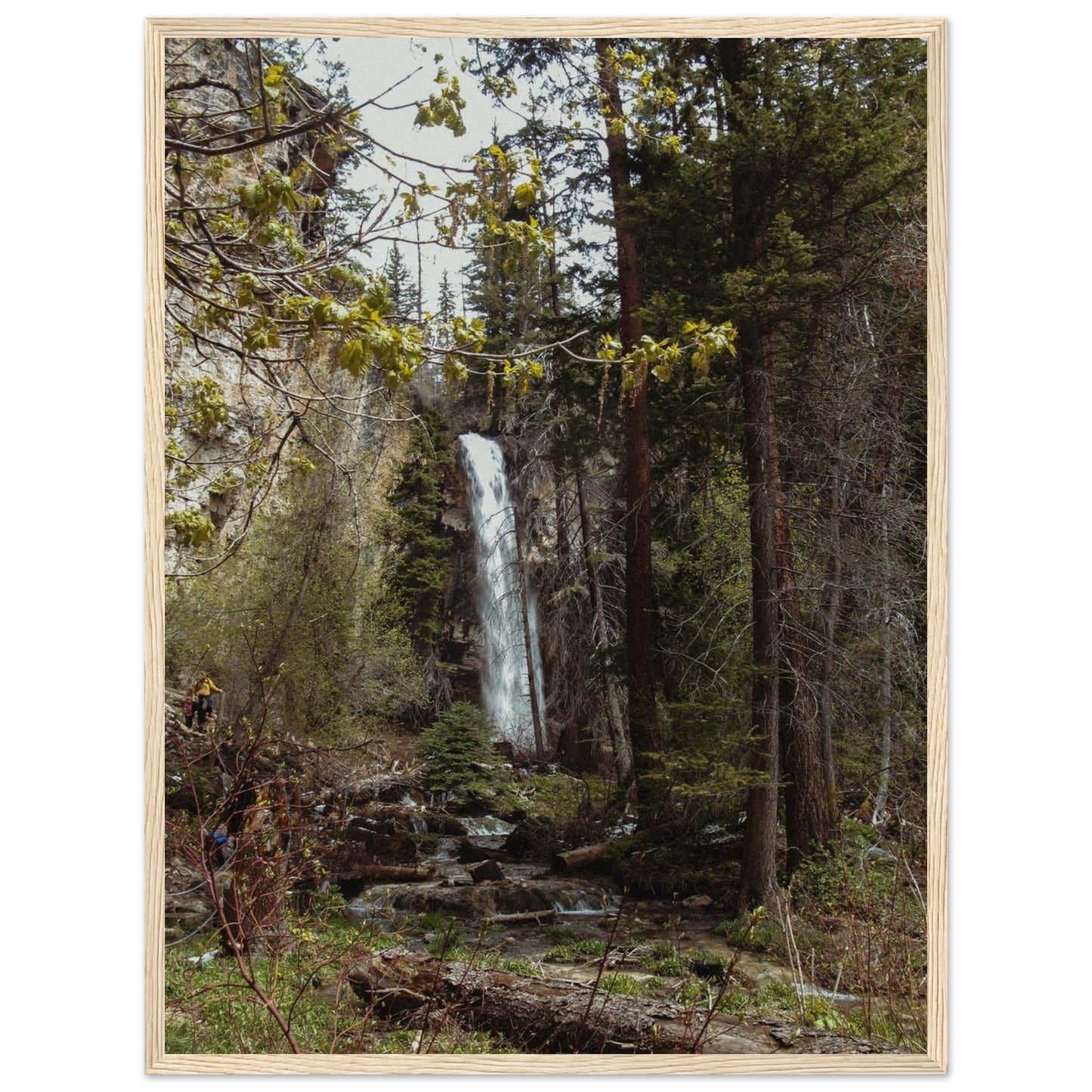 fa351e03-9b54-44c6-b417-b5f022a7473a