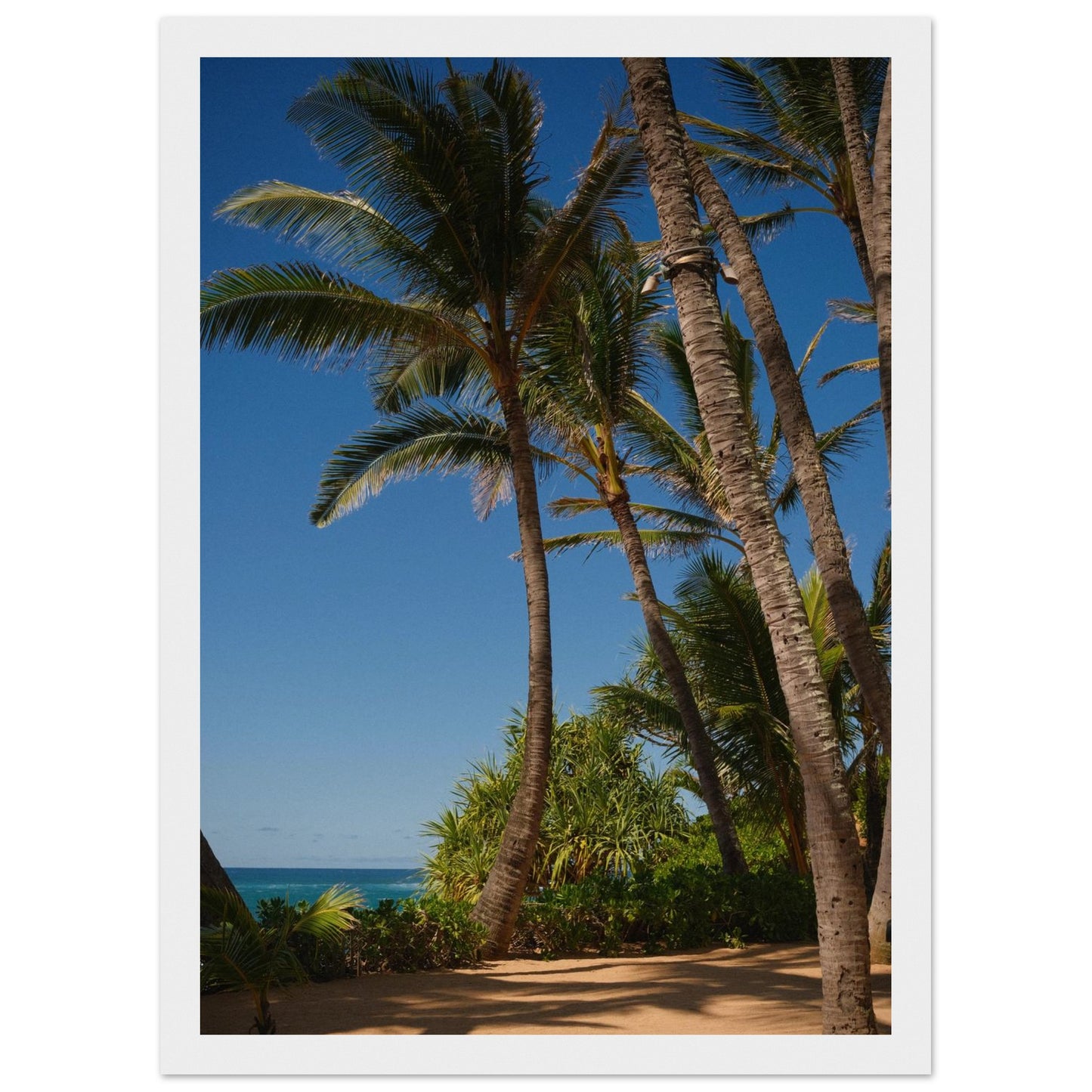 fc6d608c-6777-4c88-b2d3-0e347836dd9d