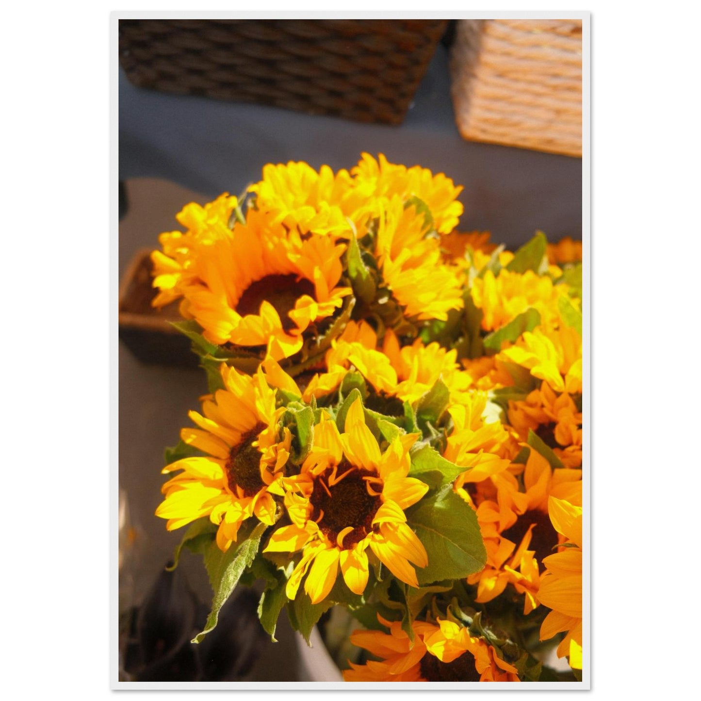 fd0e1e7a-d095-4d82-8687-f07c8314d8ac